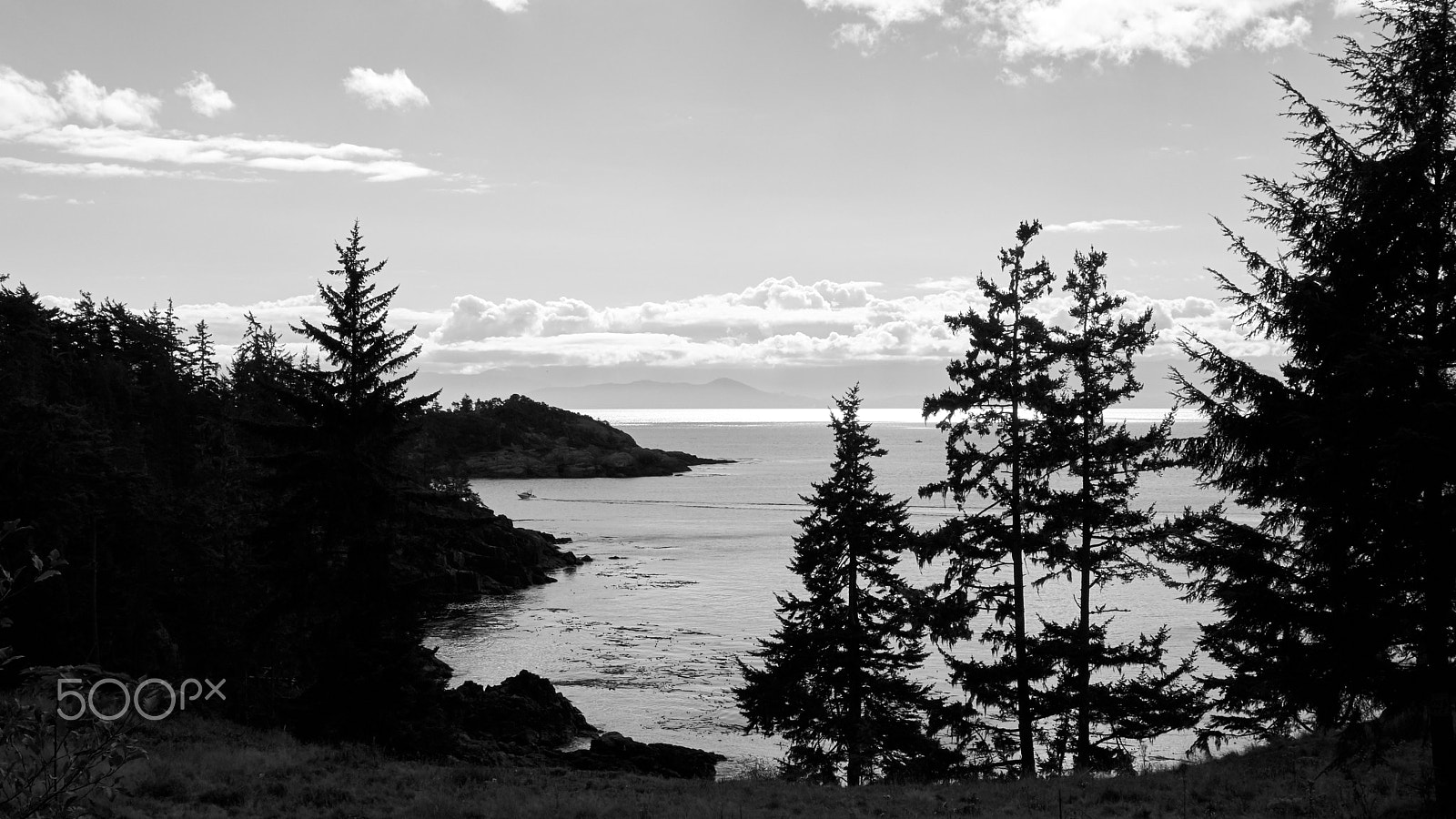 Fujifilm X-E2S + Fujifilm XF 18-55mm F2.8-4 R LM OIS sample photo. Sooke view photography