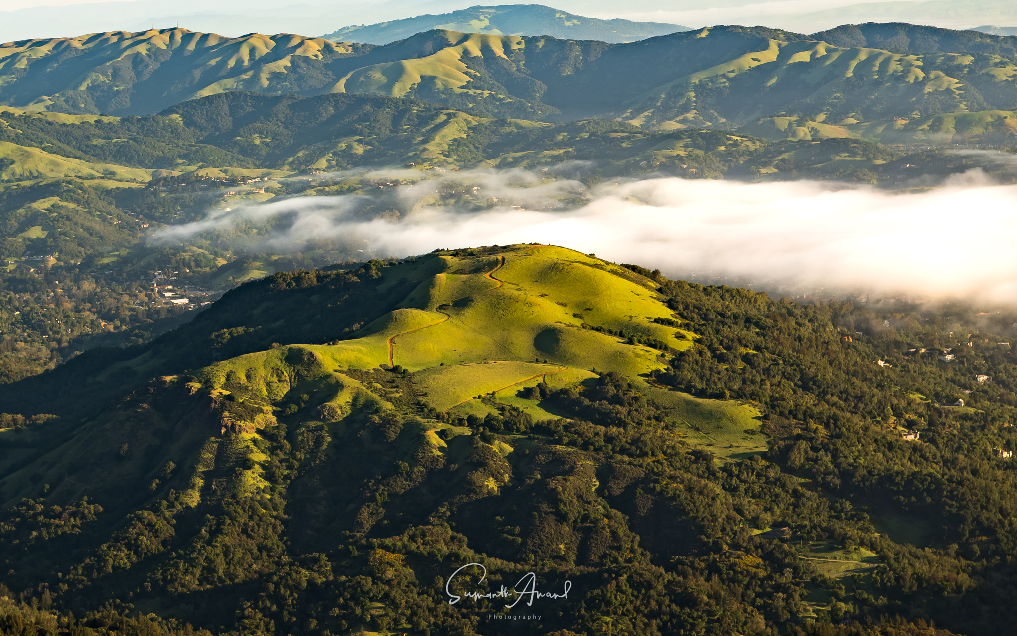 Nikon AF-S Nikkor 24-70mm F2.8E ED VR sample photo. Shades of green photography