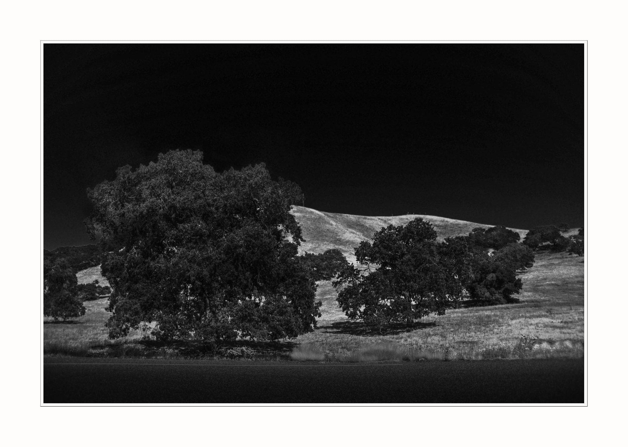 Nikon D700 sample photo. Santa barbara wine country photography