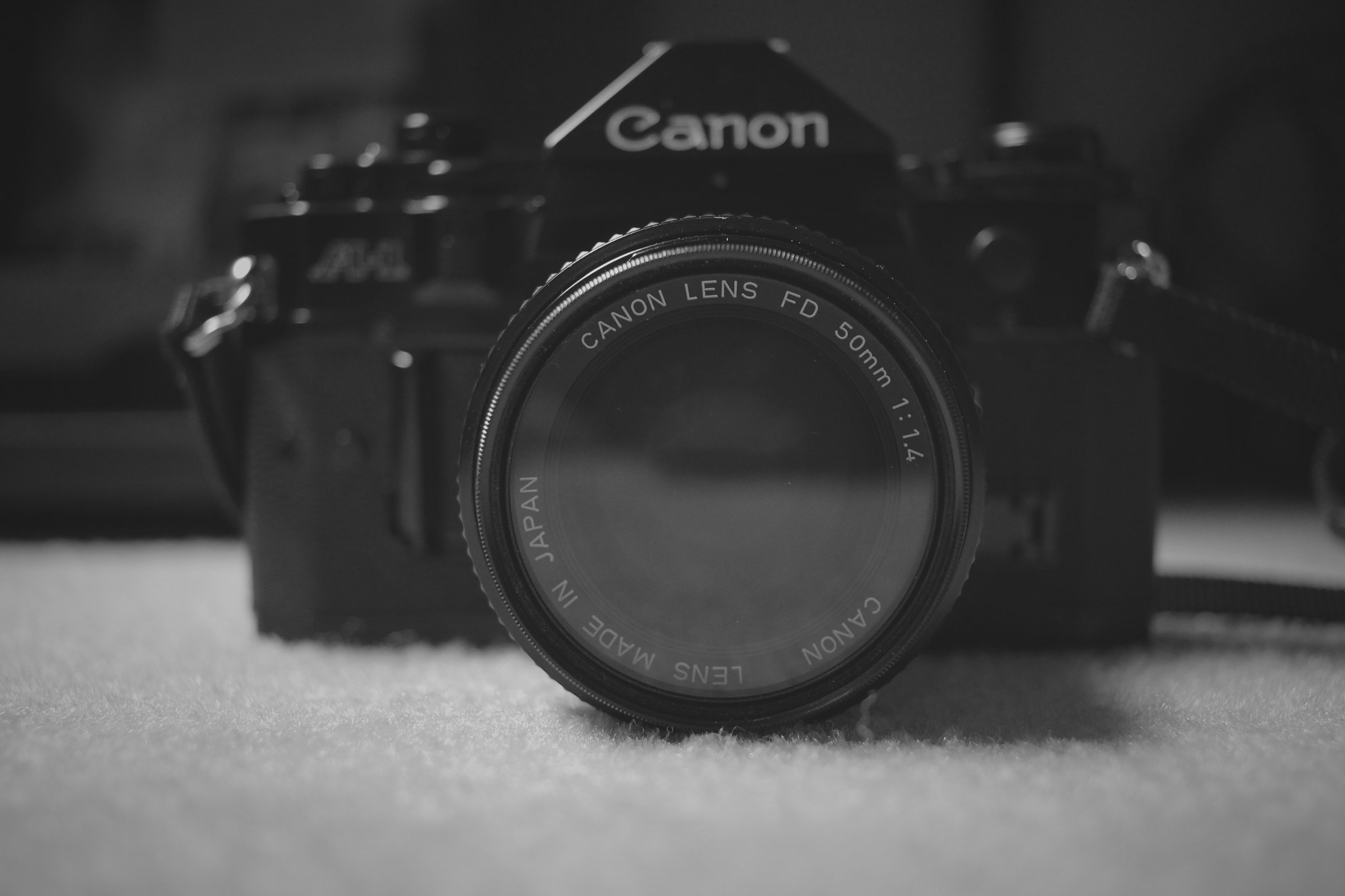 Canon EOS 100D (EOS Rebel SL1 / EOS Kiss X7) + Canon EF-S 24mm F2.8 STM sample photo. Vintage cameras photography