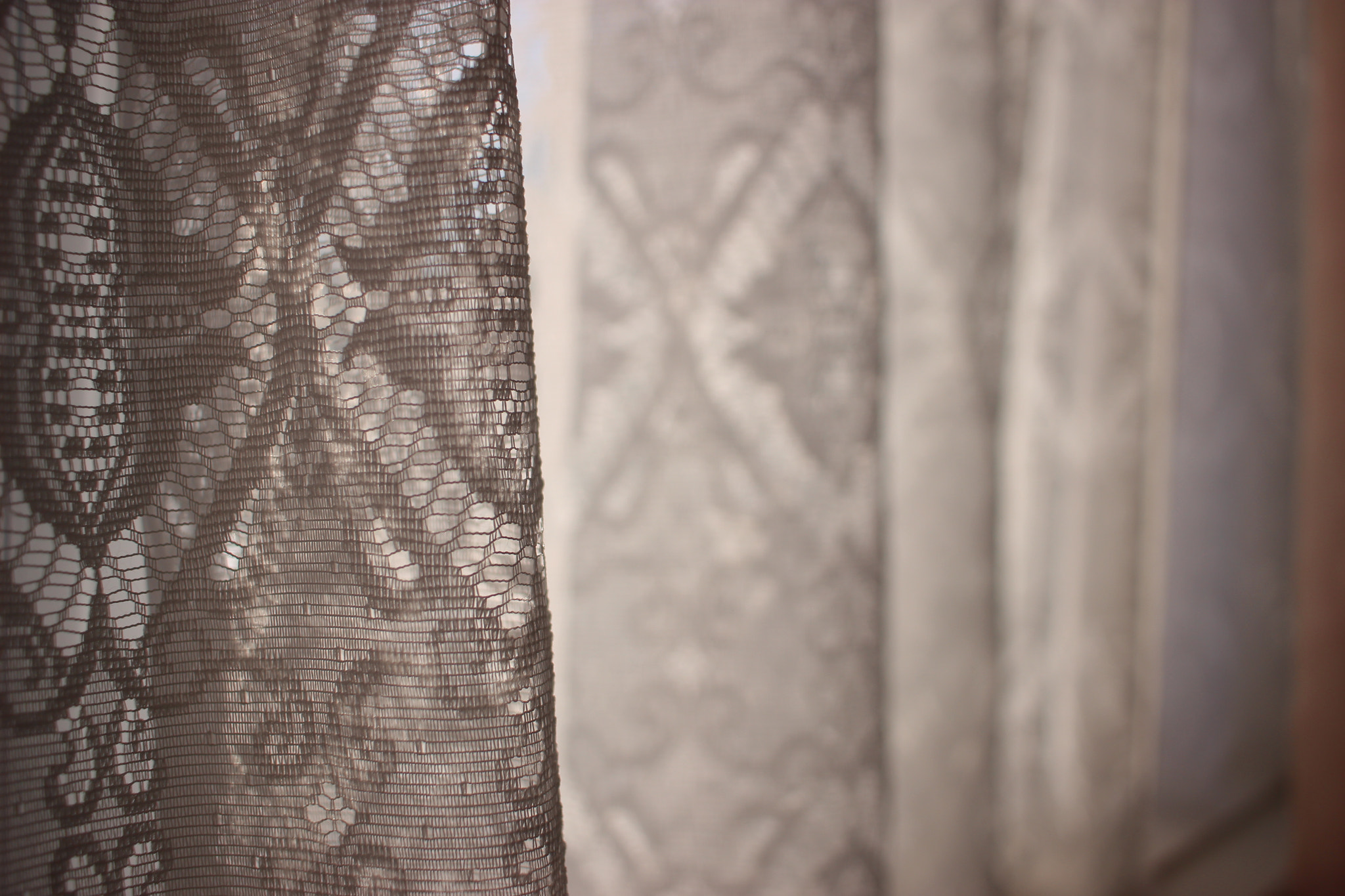 Canon EOS 100D (EOS Rebel SL1 / EOS Kiss X7) sample photo. Through the veil photography
