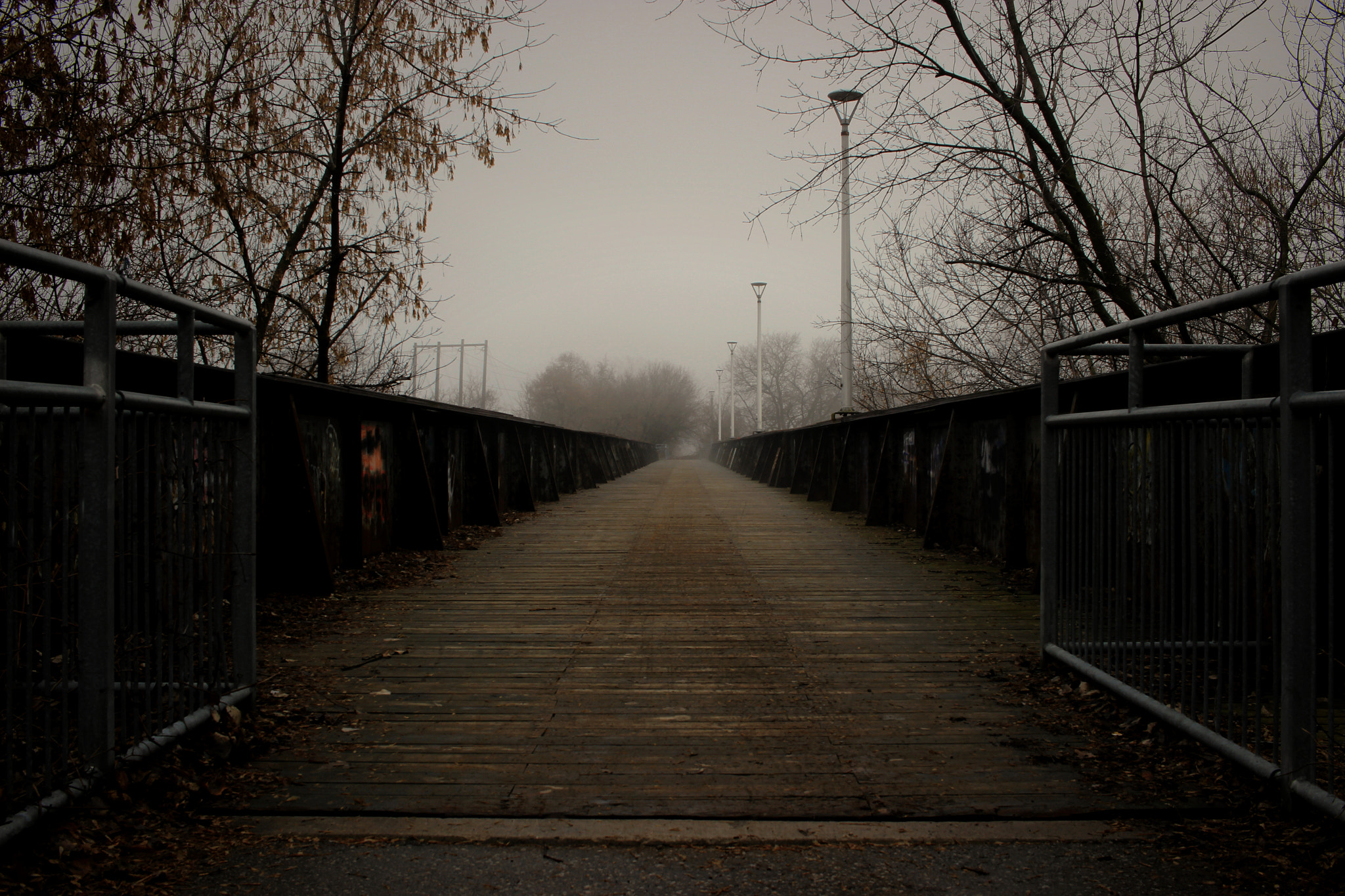 Canon EOS 100D (EOS Rebel SL1 / EOS Kiss X7) sample photo. Into the unknown photography