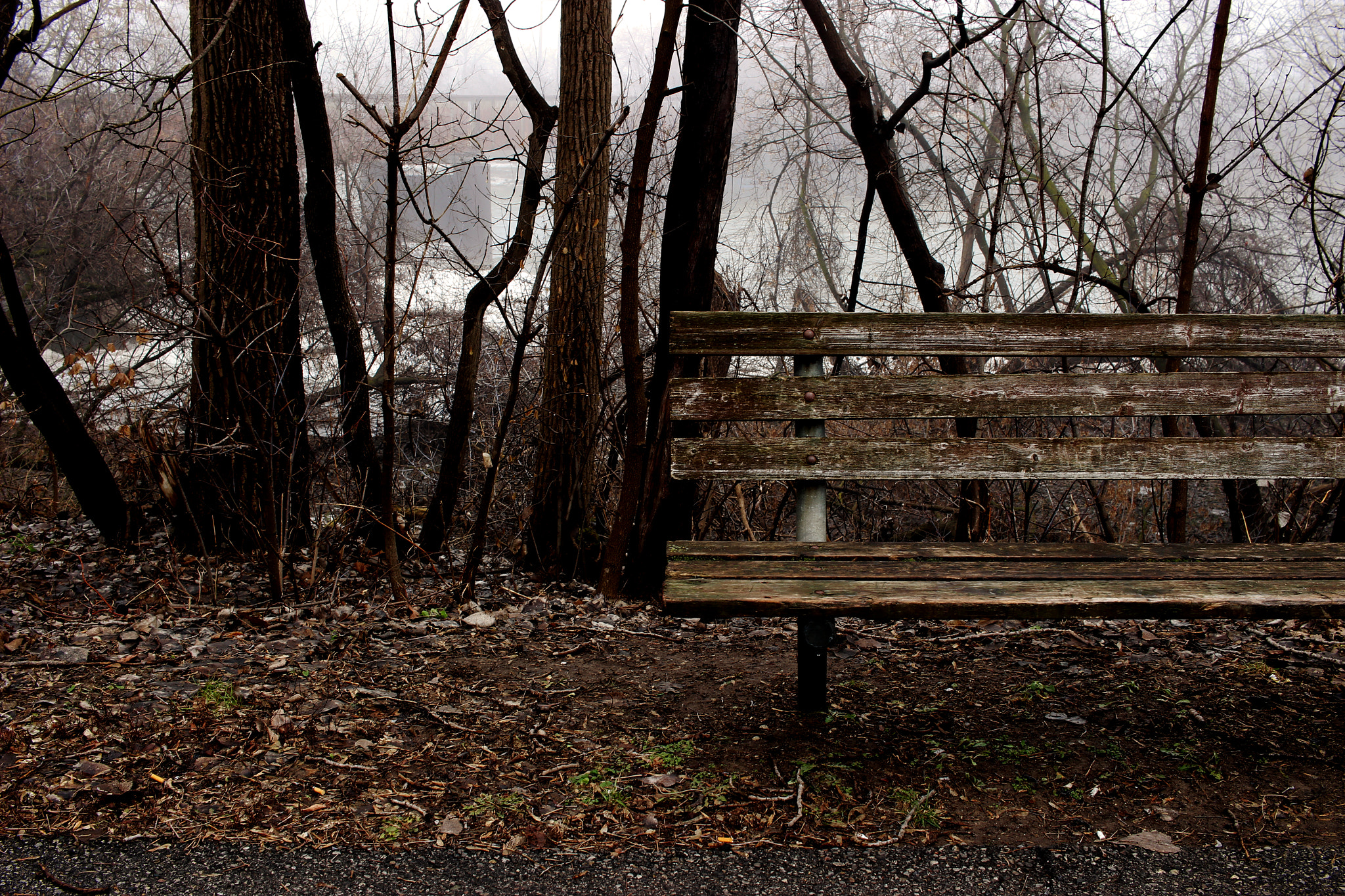 Canon EOS 100D (EOS Rebel SL1 / EOS Kiss X7) sample photo. Haunted photography