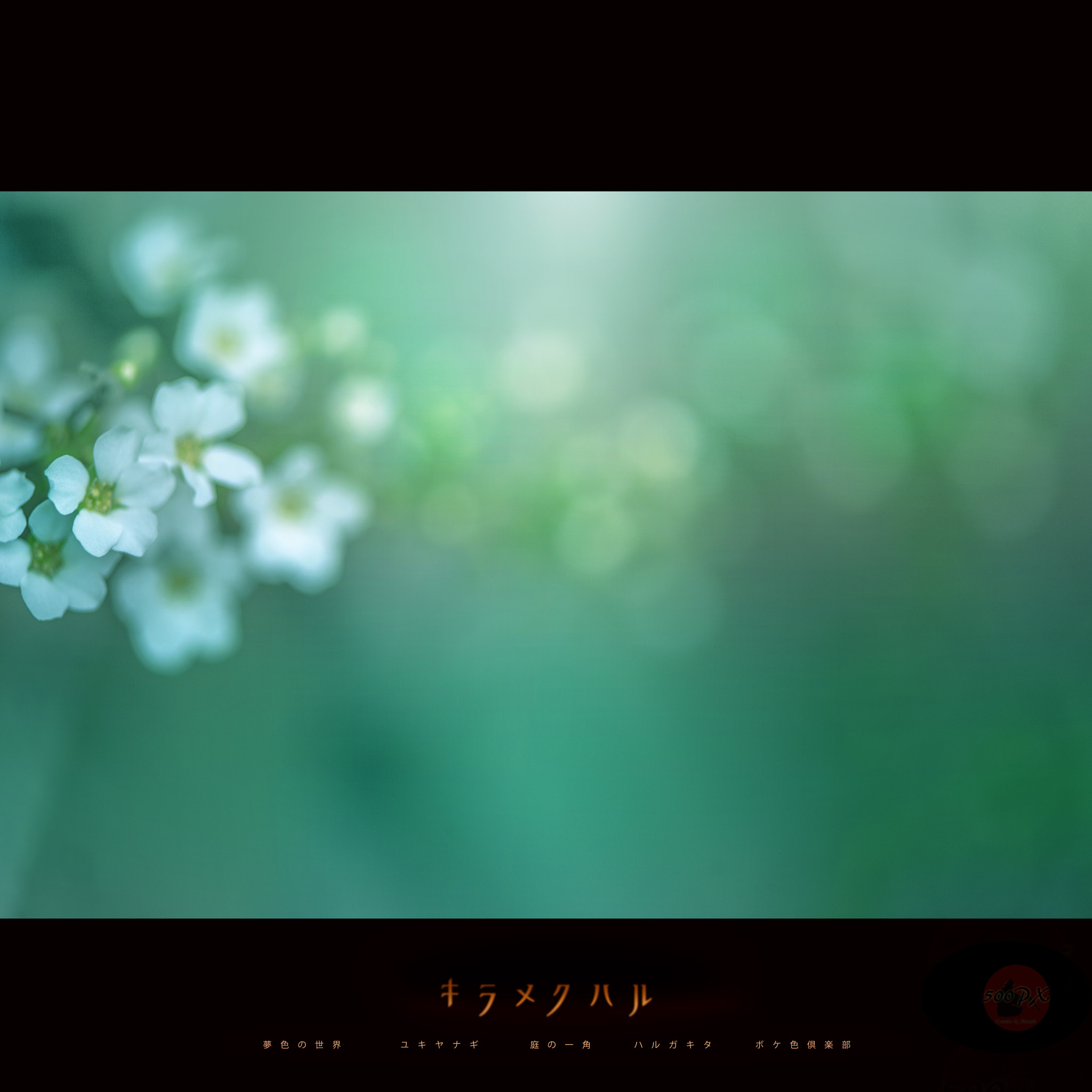 Nikon D800 sample photo. ボケ色倶楽部 photography