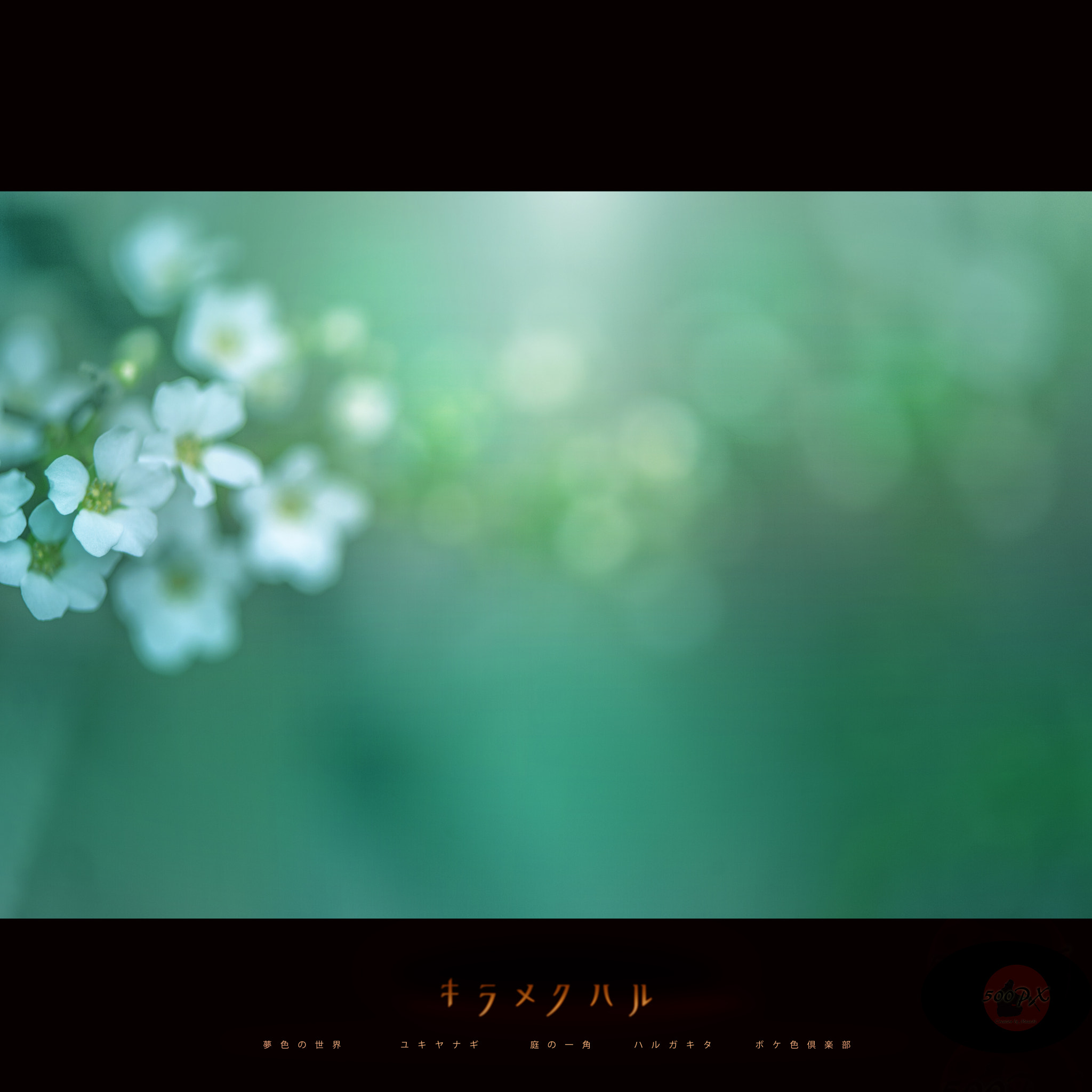 Nikon D800 + Nikon AF-S Nikkor 58mm F1.4G sample photo. ボケ色倶楽部 photography