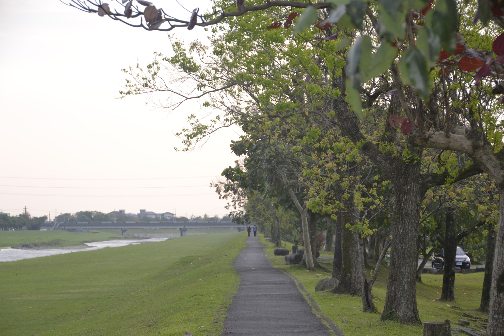 Nikon D3100 sample photo. The couple photography
