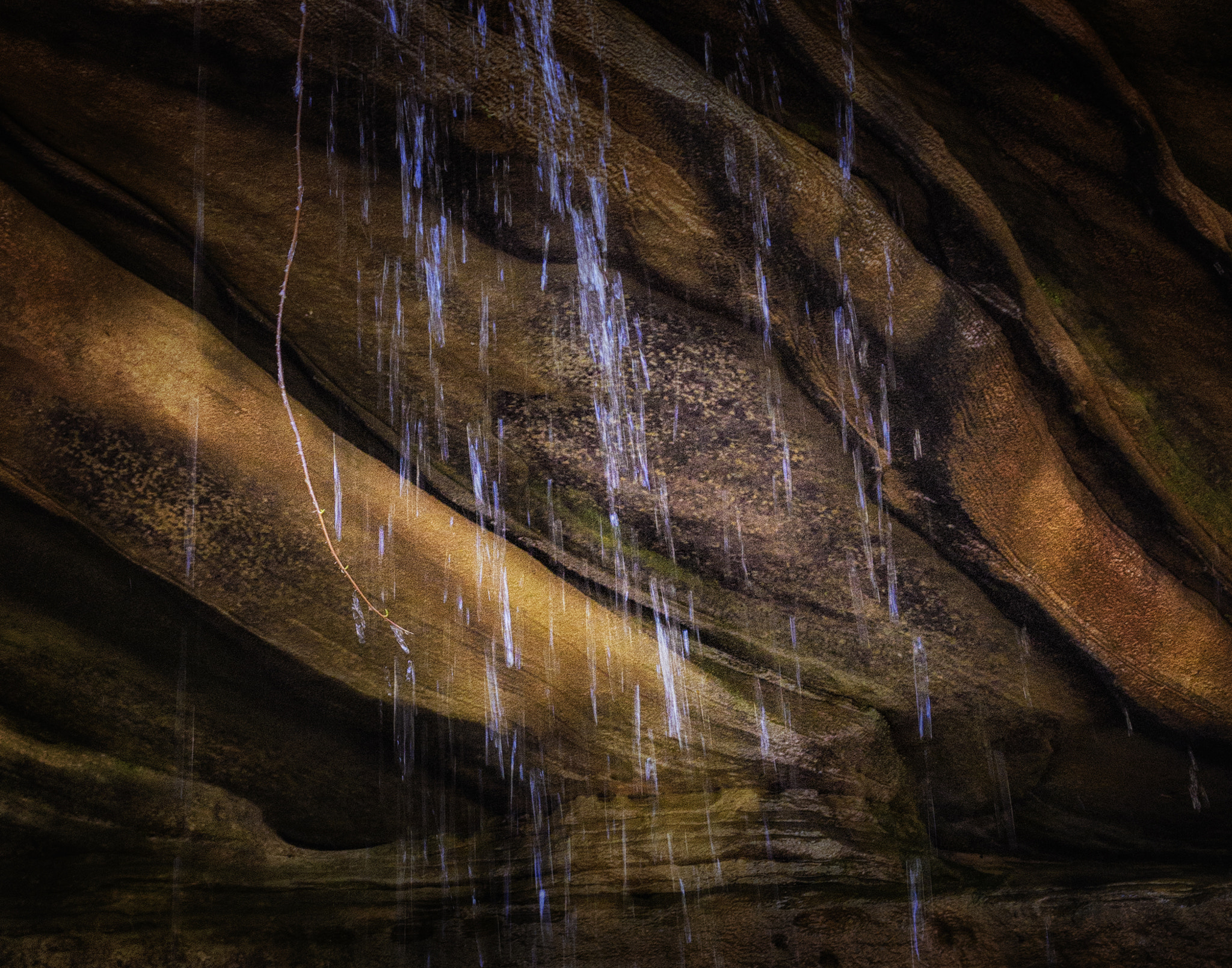 Nikon D500 sample photo. Were indians hunted photography