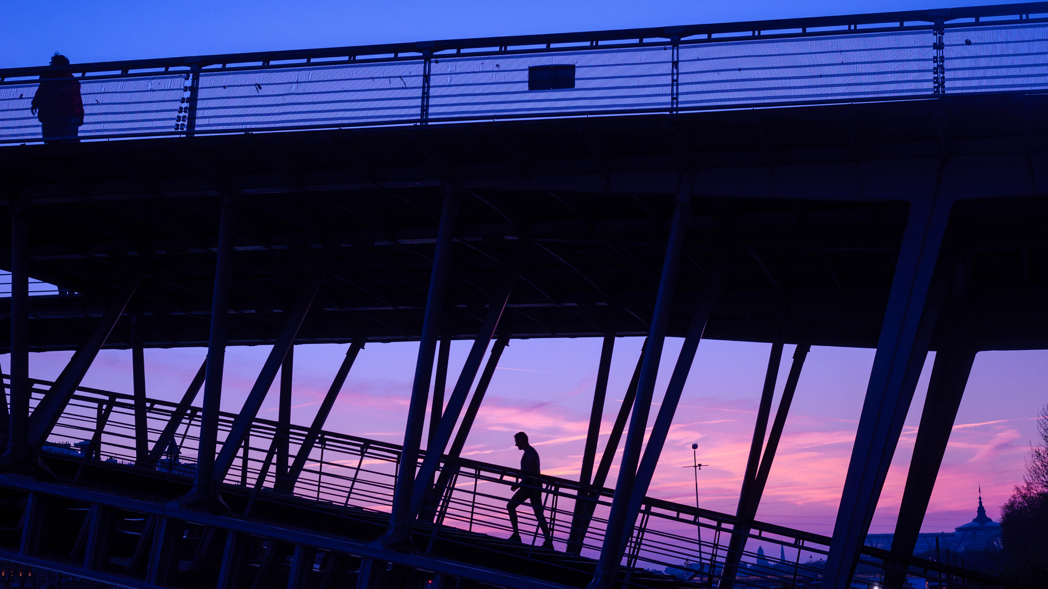 Nikon D610 sample photo. Silhouettes in paris photography