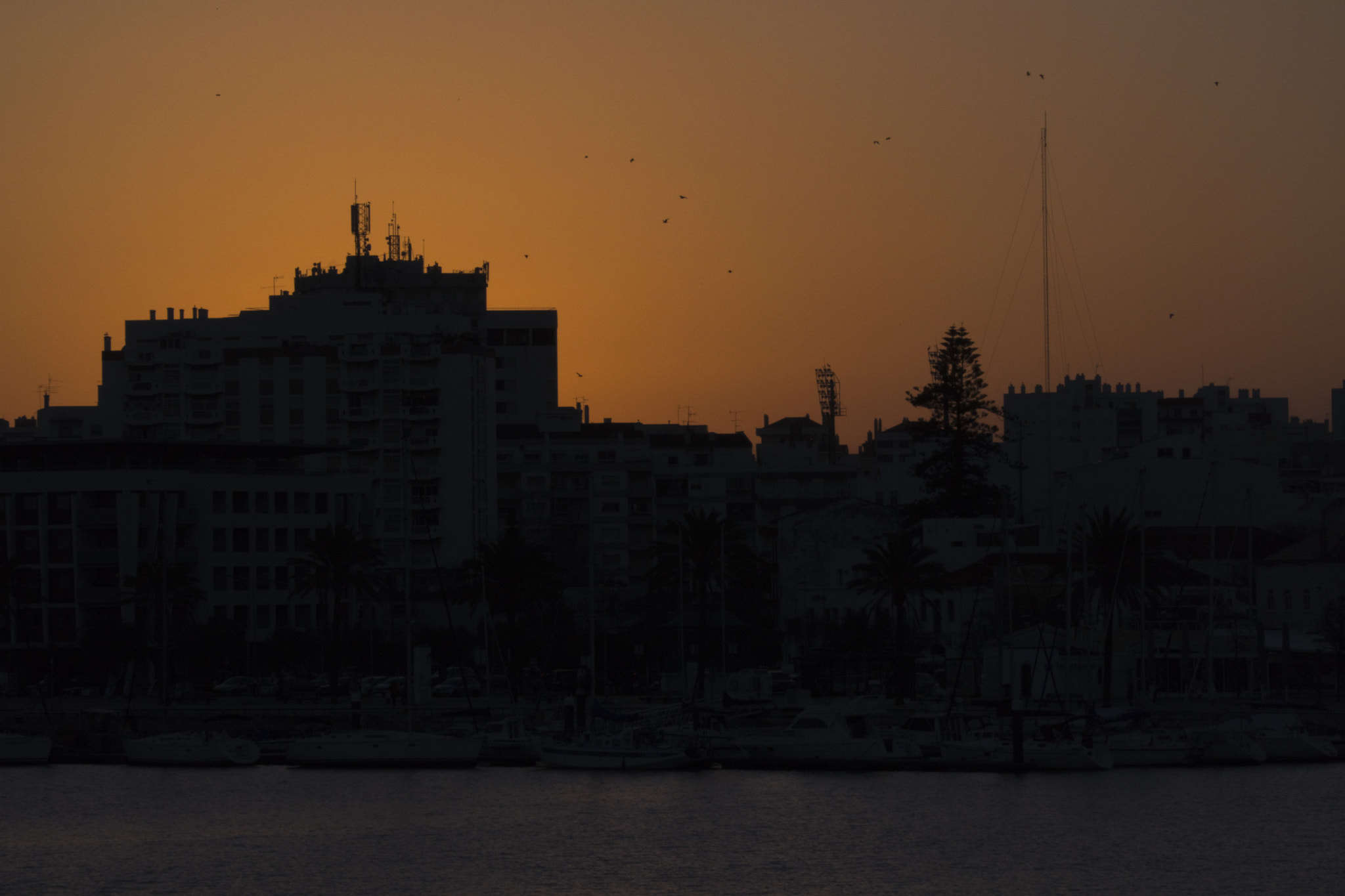 Sony a6500 sample photo. Portimão painted orange photography