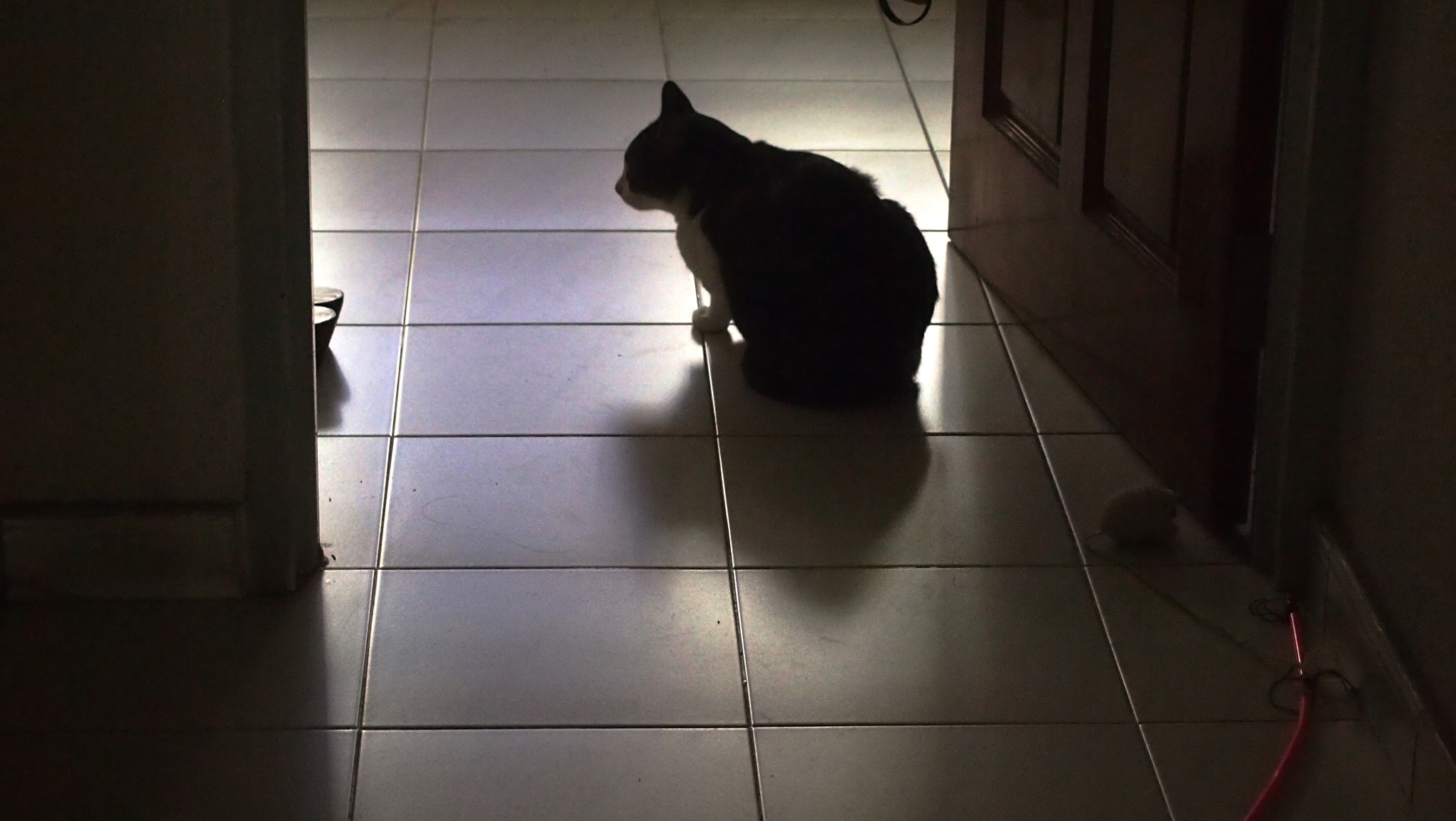 Olympus PEN E-PM1 sample photo. The wait. photography