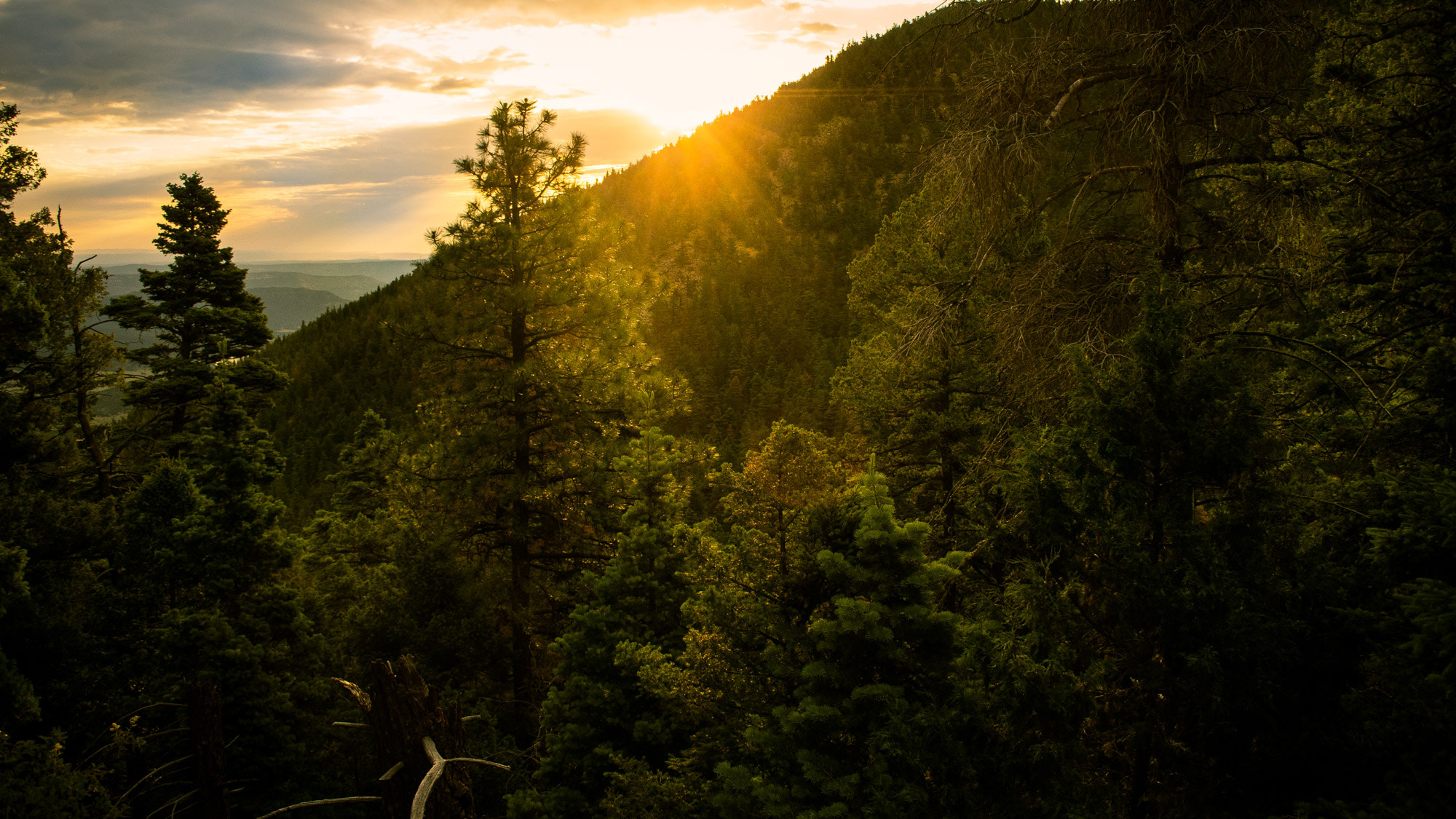 Nikon 1 J5 sample photo. Upper clarks fork at sunrise photography