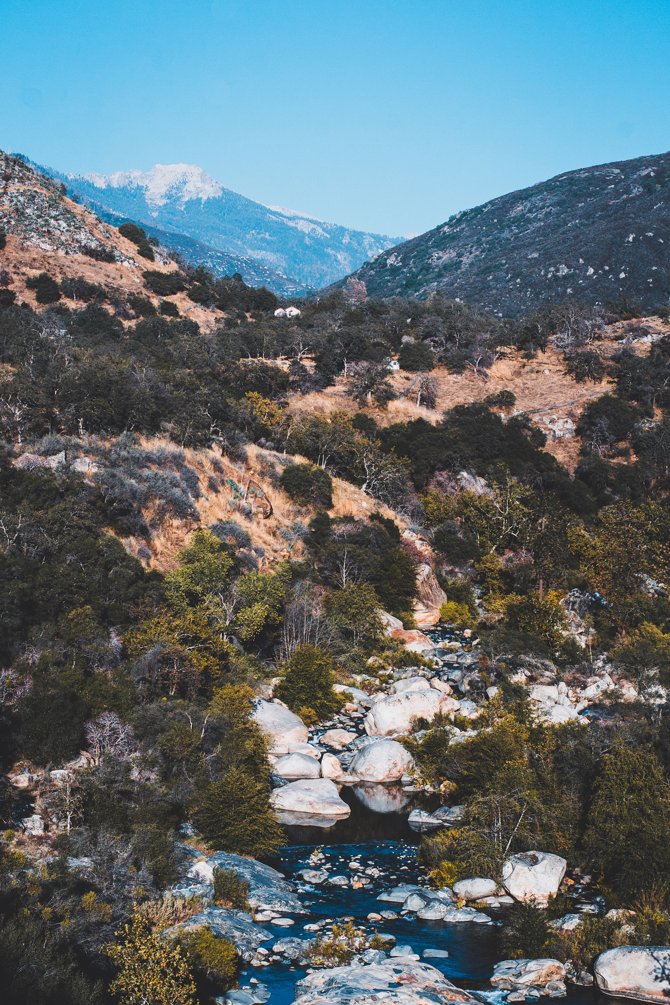 Nikon D3100 + Nikon AF-S Nikkor 50mm F1.8G sample photo. Sequoia national park photography