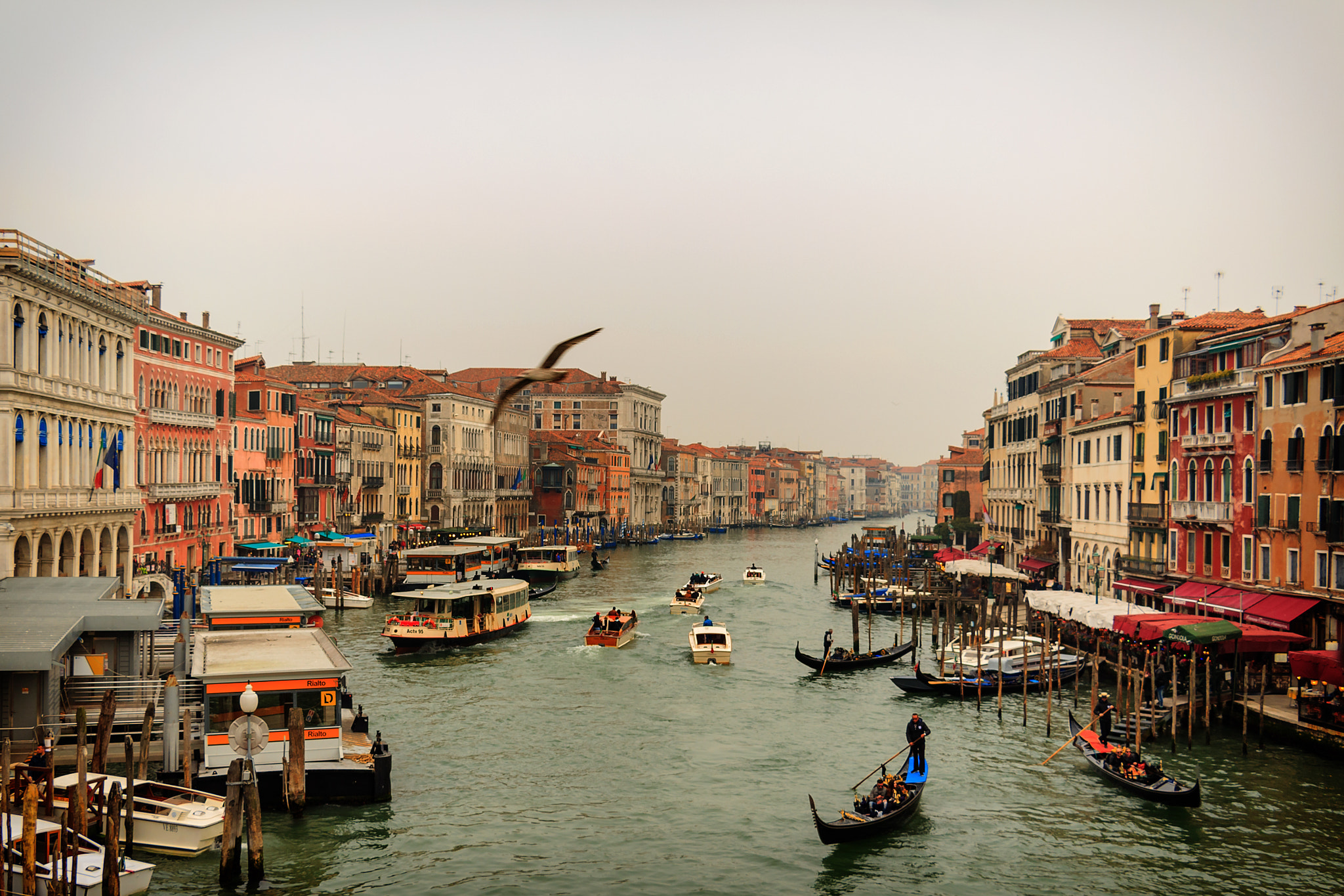 Canon EOS 650D (EOS Rebel T4i / EOS Kiss X6i) sample photo. Venice photography
