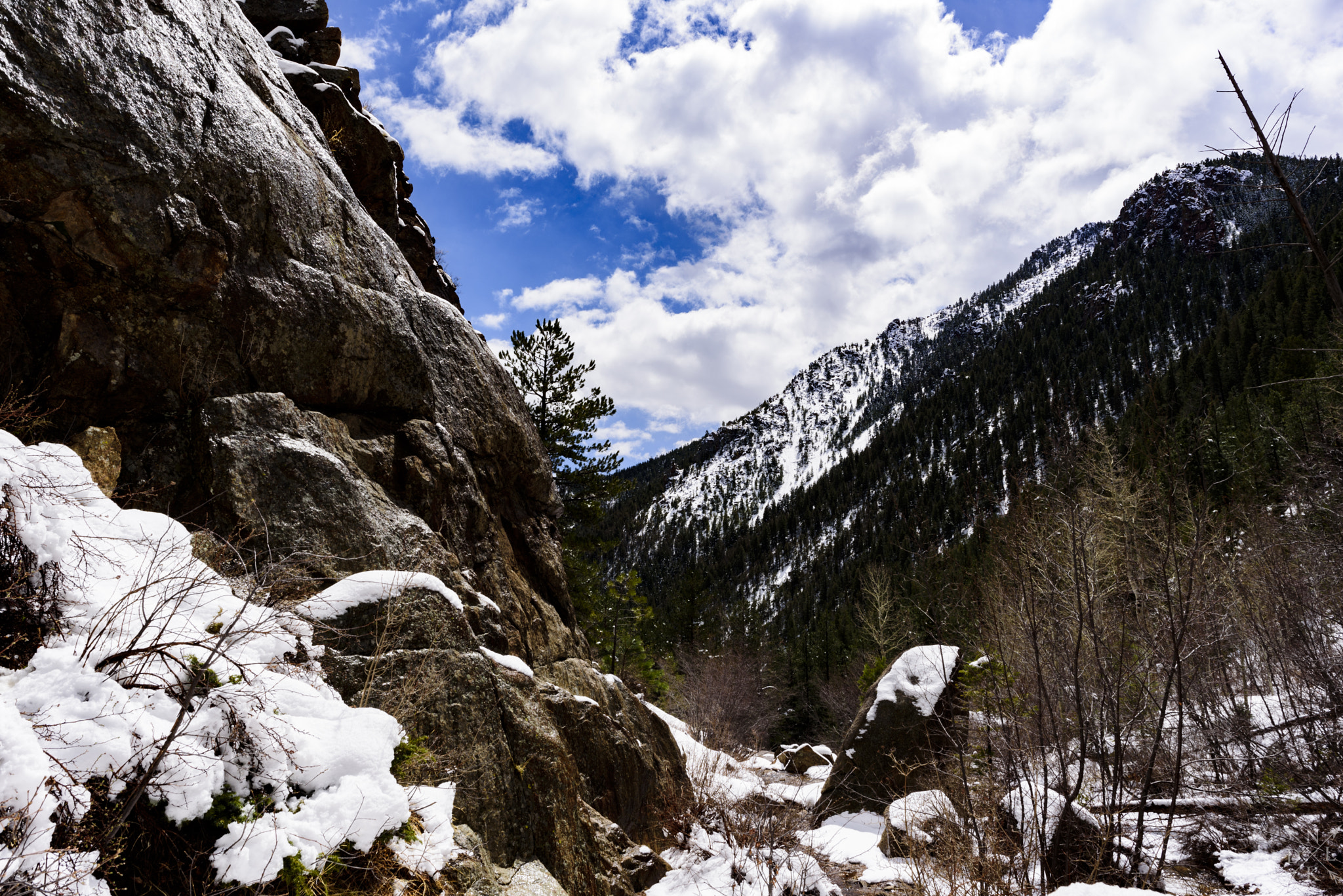 Nikon AF-S Nikkor 24mm F1.8G ED sample photo. Winter creek bed photography