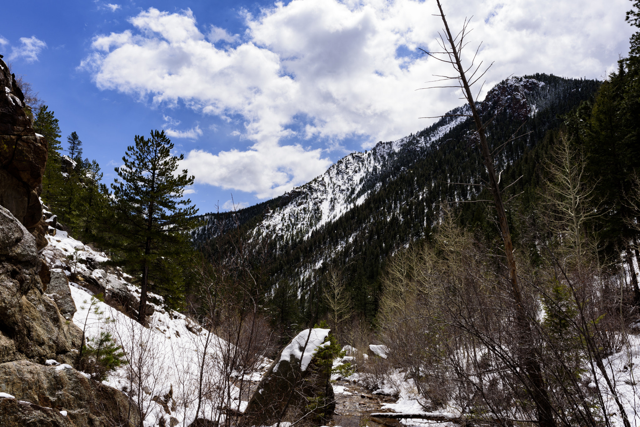 Nikon D750 + Nikon AF-S Nikkor 24mm F1.8G ED sample photo. Spring on the creek photography