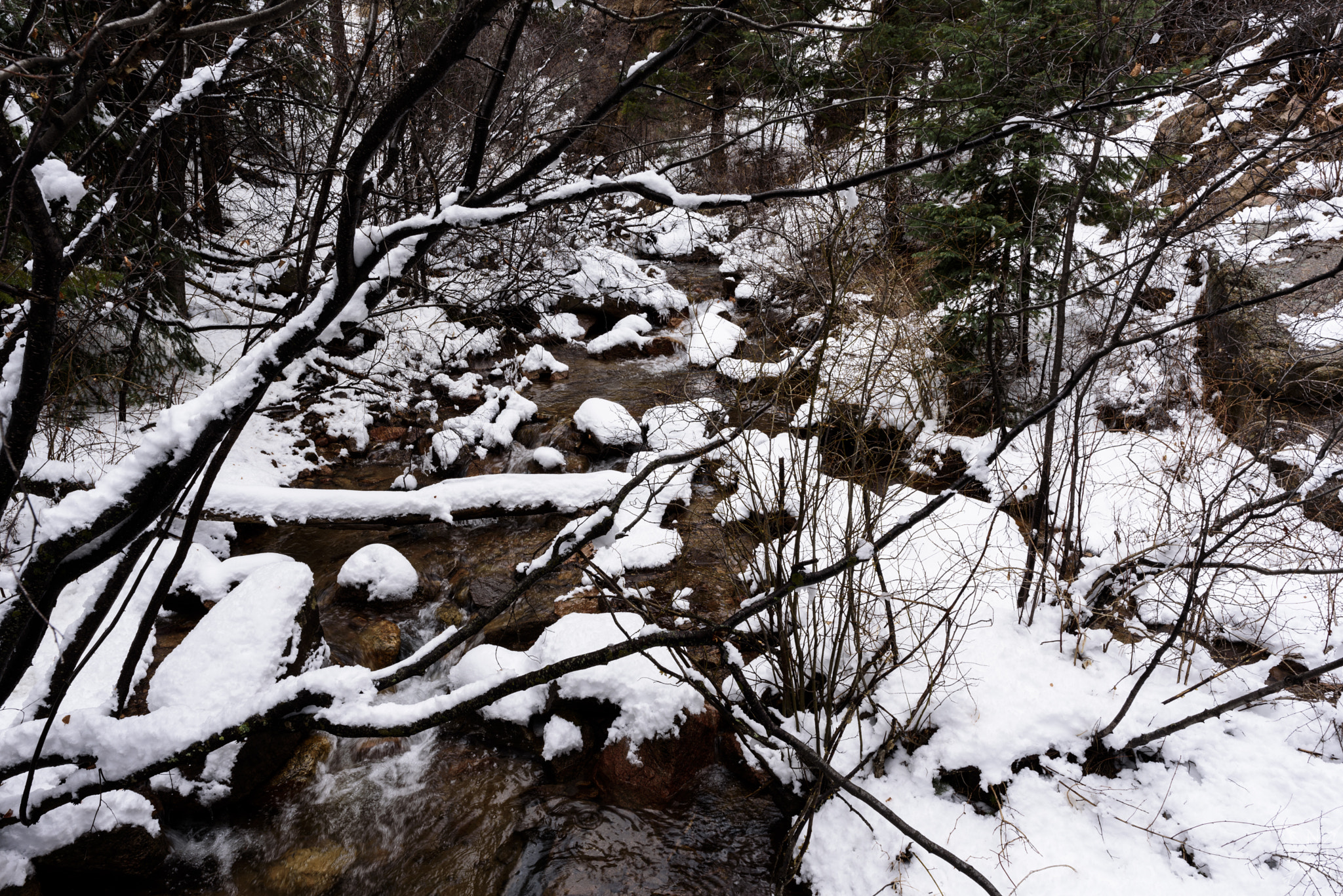 Nikon AF-S Nikkor 24mm F1.8G ED sample photo. Snowy creek photography