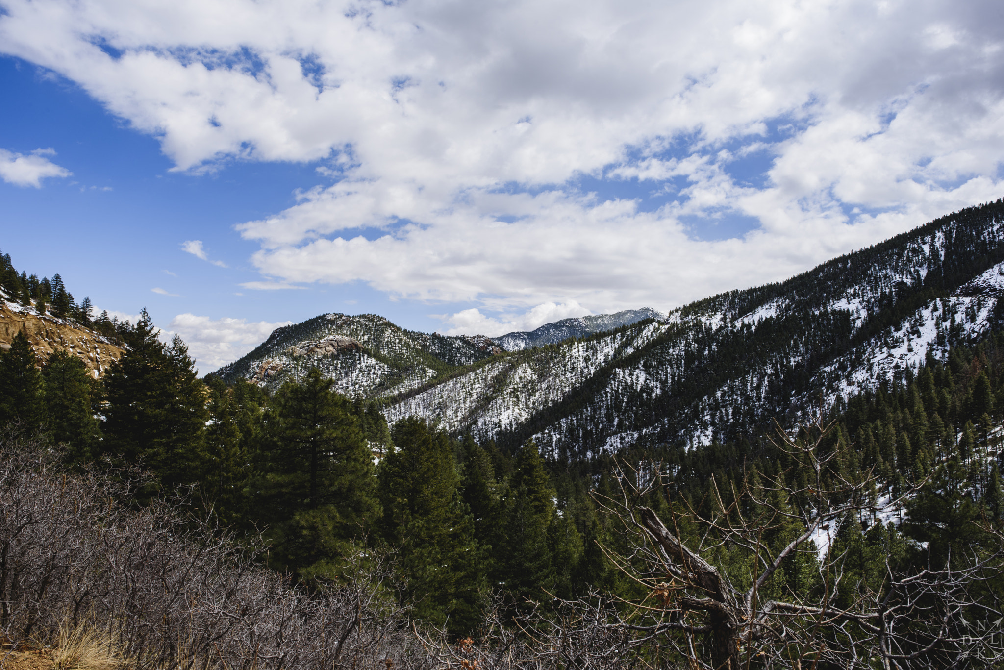 Nikon D750 sample photo. Colorado afternoon photography