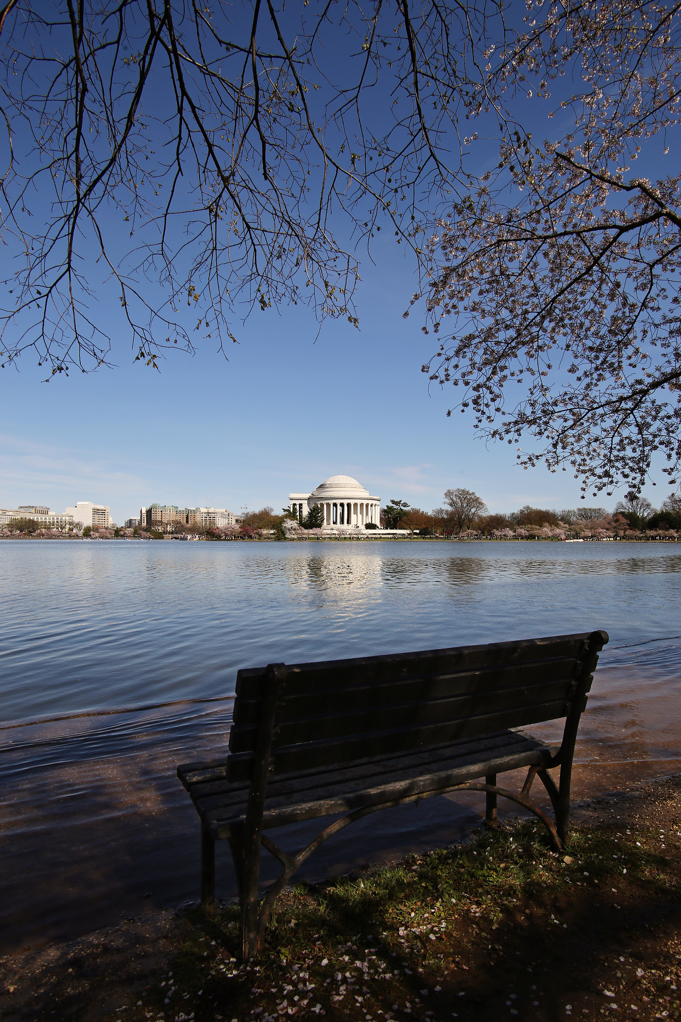 Canon EOS 6D + Tamron SP AF 17-35mm F2.8-4 Di LD Aspherical (IF) sample photo. View of thomas jefferson monument photography