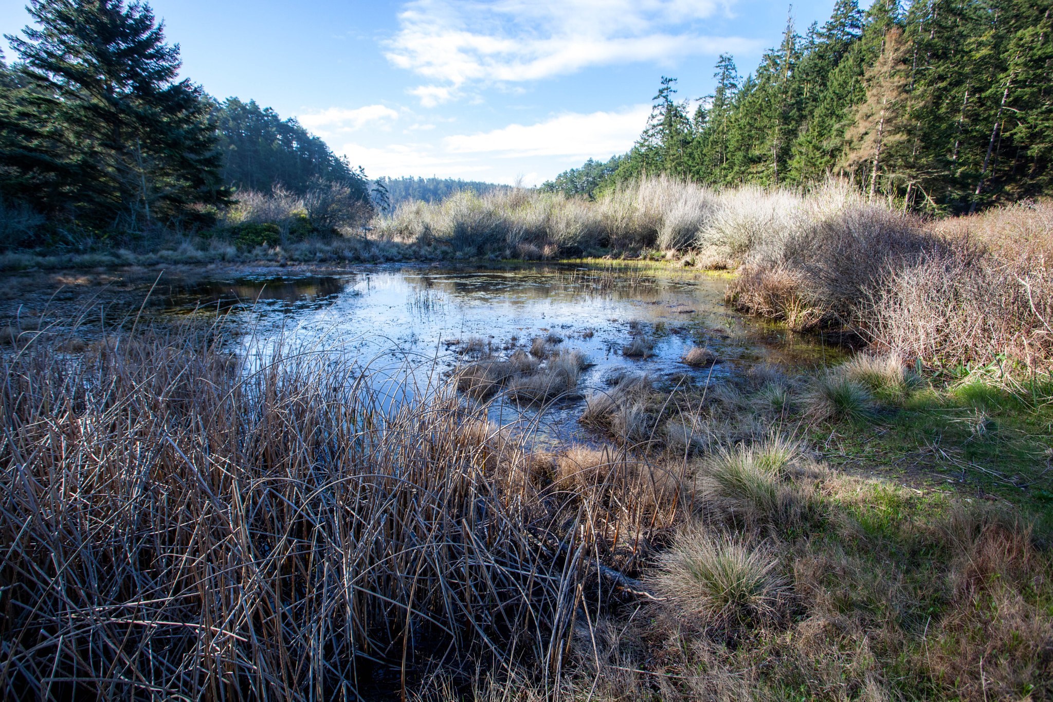 Canon EF 17-40mm F4L USM sample photo. Hdr photography