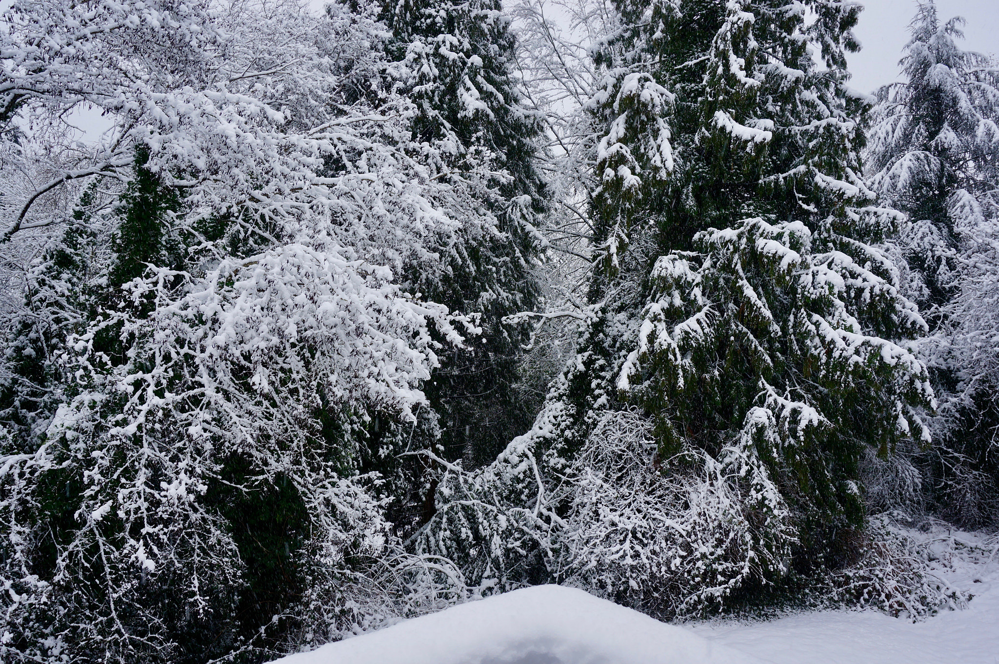 Sony E 18-50mm F4-5.6 sample photo. Snow photography