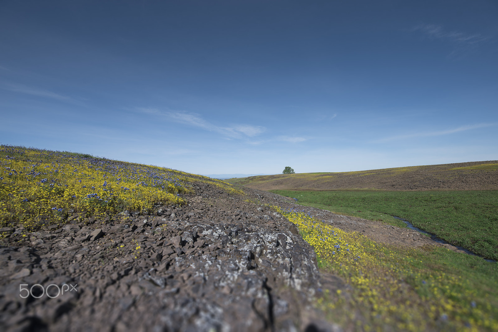 Nikon D750 sample photo. Old lava photography