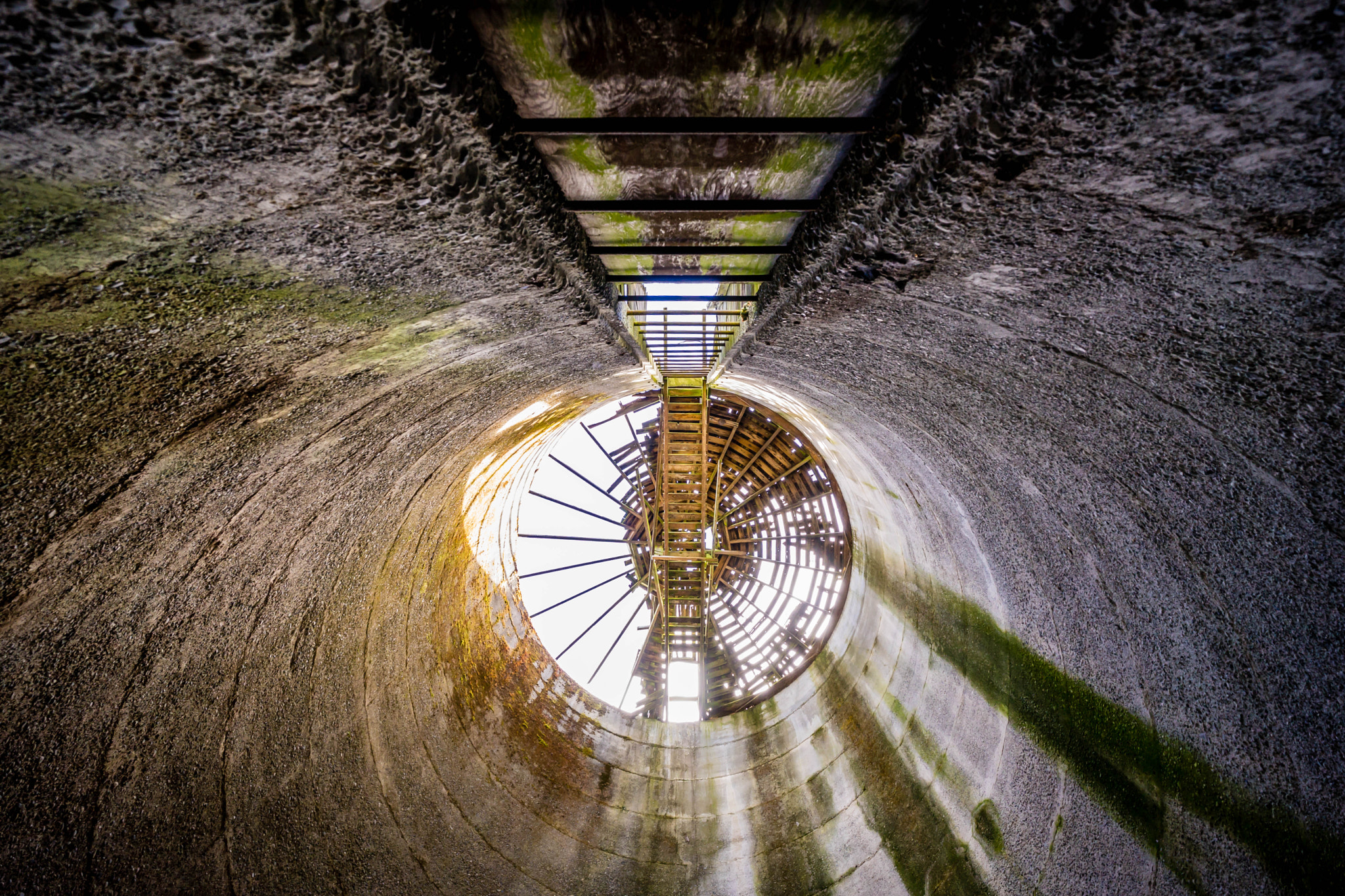 Sony a7 II + ZEISS Batis 18mm F2.8 sample photo. Steilacoom park a year later () photography