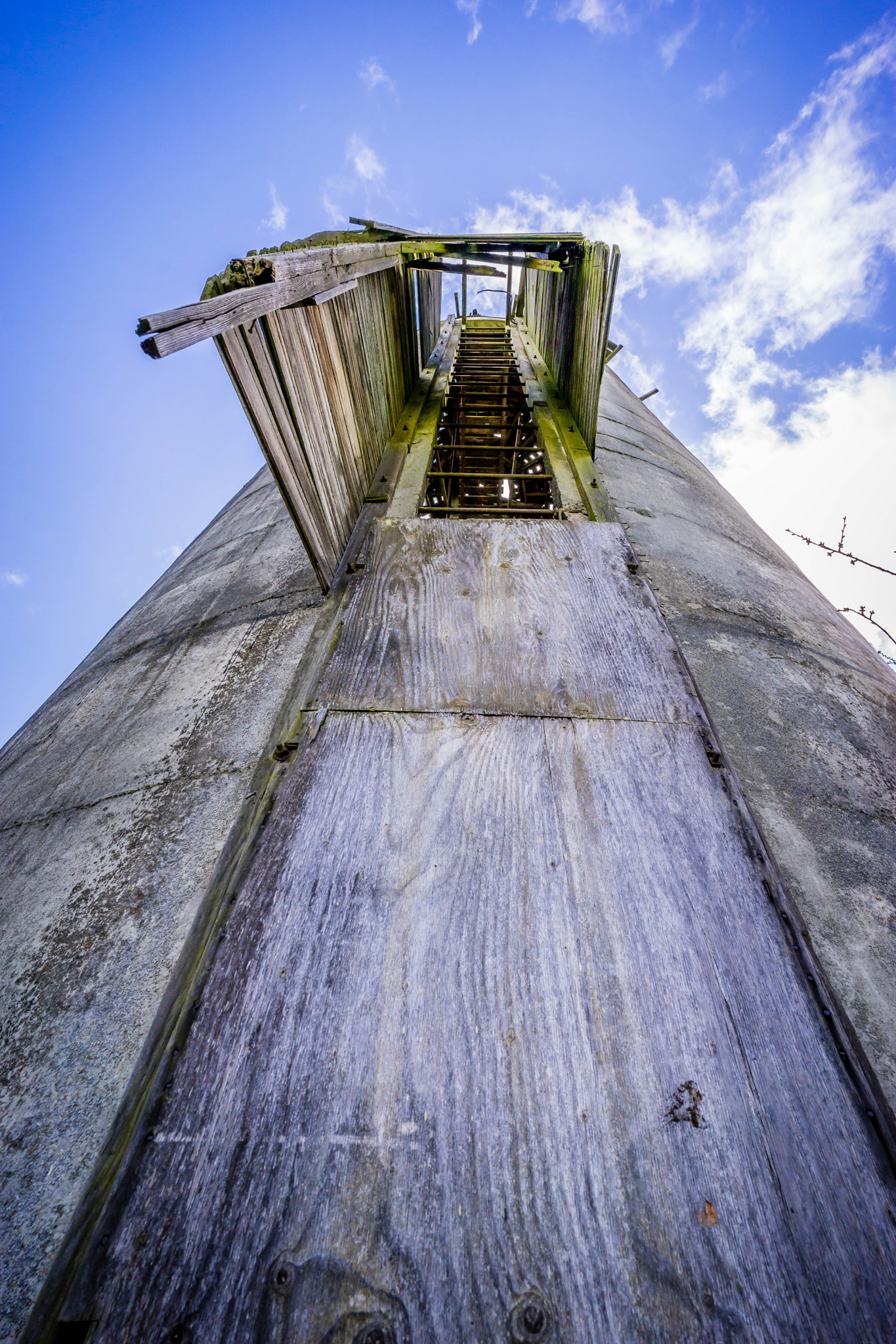 Sony a7 II + ZEISS Batis 18mm F2.8 sample photo. Steilacoom park a year later () photography