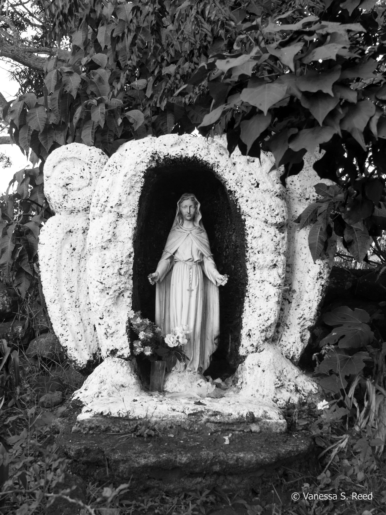 Olympus OM-D E-M1 Mark II + Olympus M.Zuiko Digital ED 12-40mm F2.8 Pro sample photo. B/w worship photography