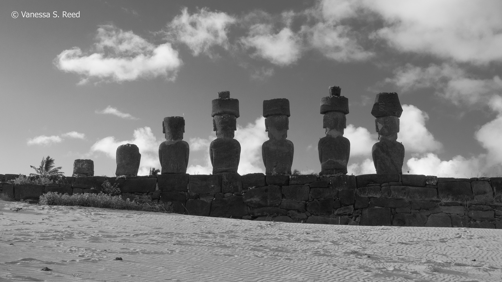 Olympus OM-D E-M1 Mark II sample photo. B/w anakena moai - rearview photography