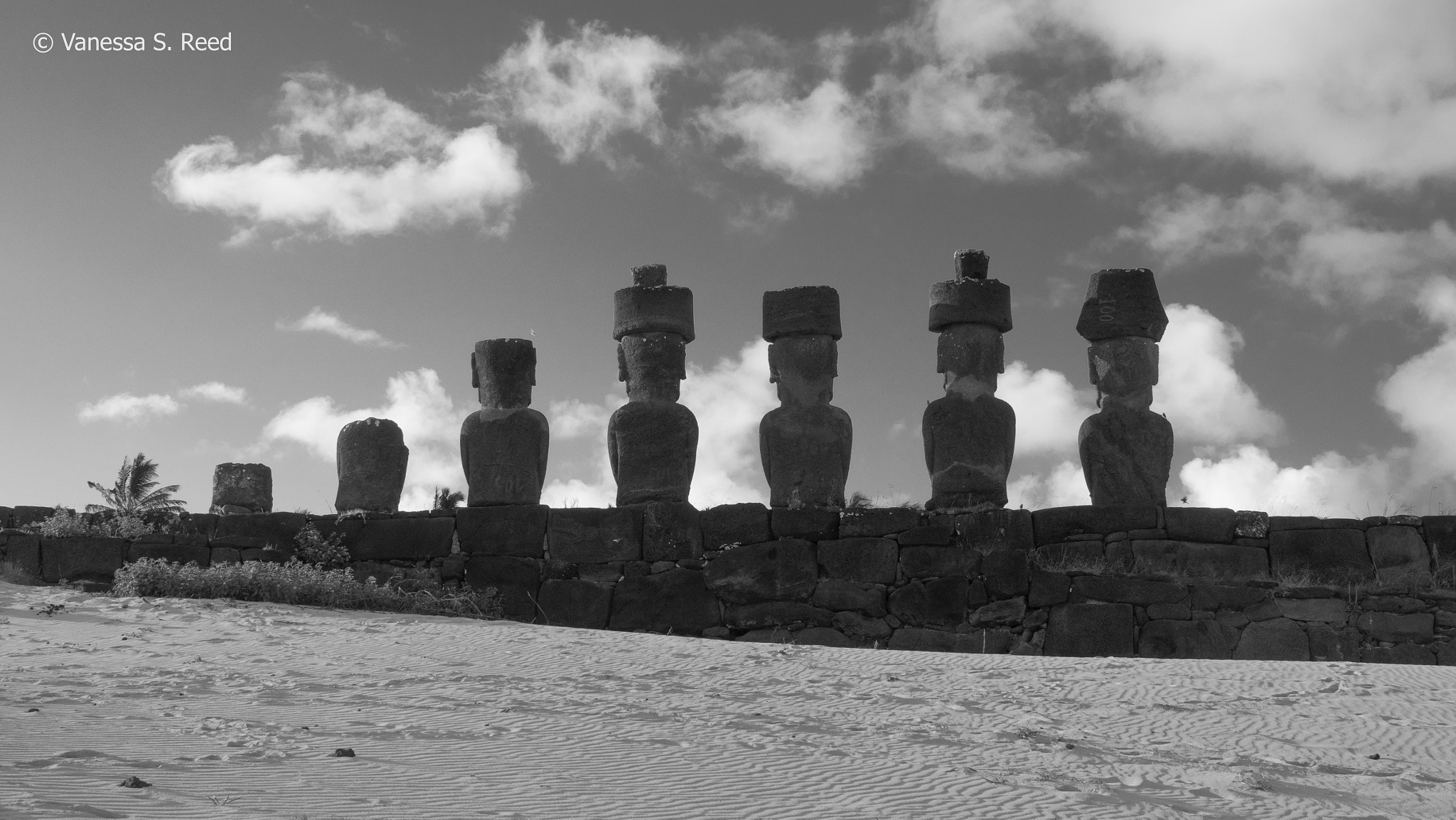 Olympus OM-D E-M1 Mark II + Olympus M.Zuiko Digital ED 12-40mm F2.8 Pro sample photo. B/w anakena moai - rearview photography