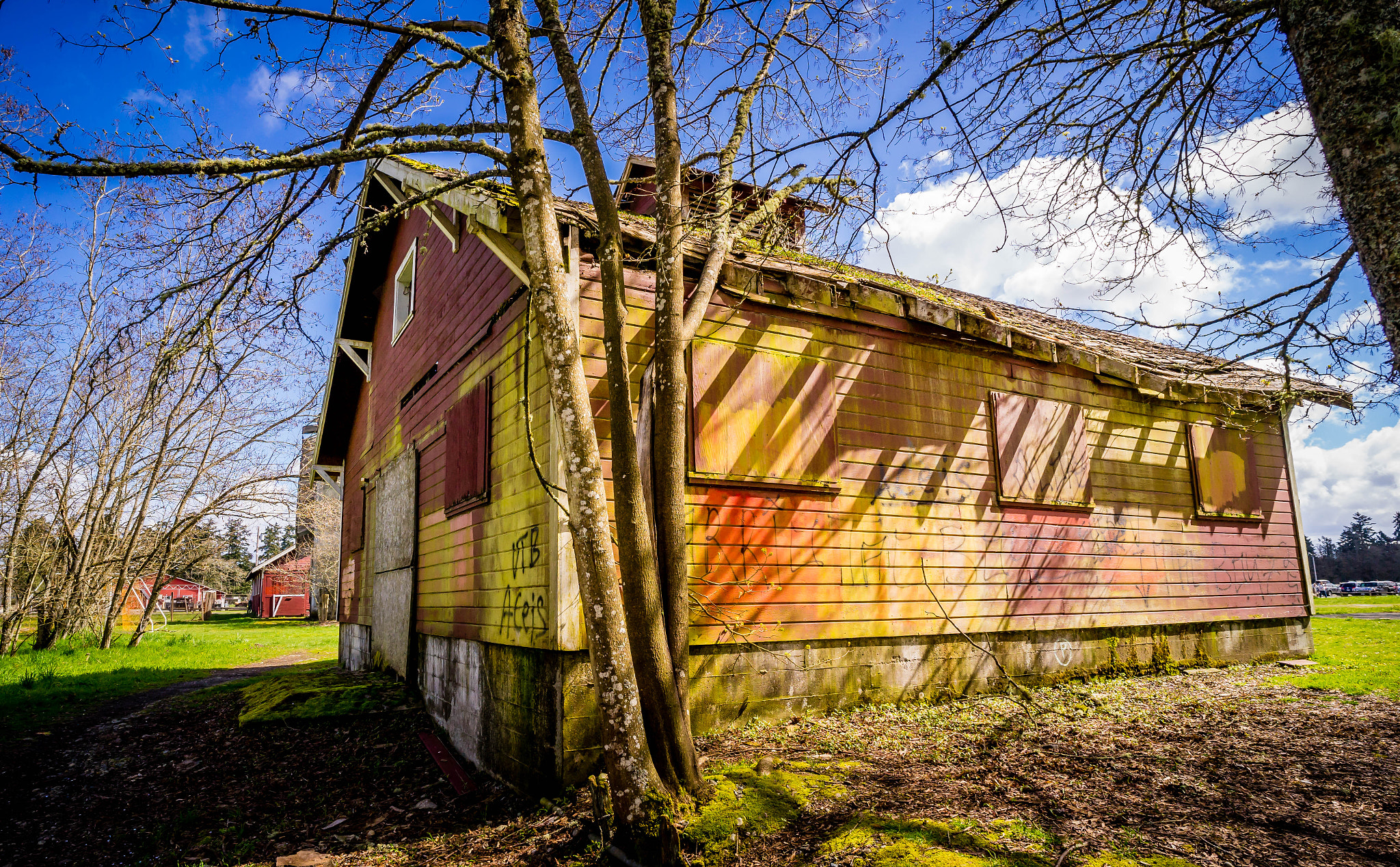 Sony a7 II + ZEISS Batis 18mm F2.8 sample photo. Steilacoom park a year later () photography