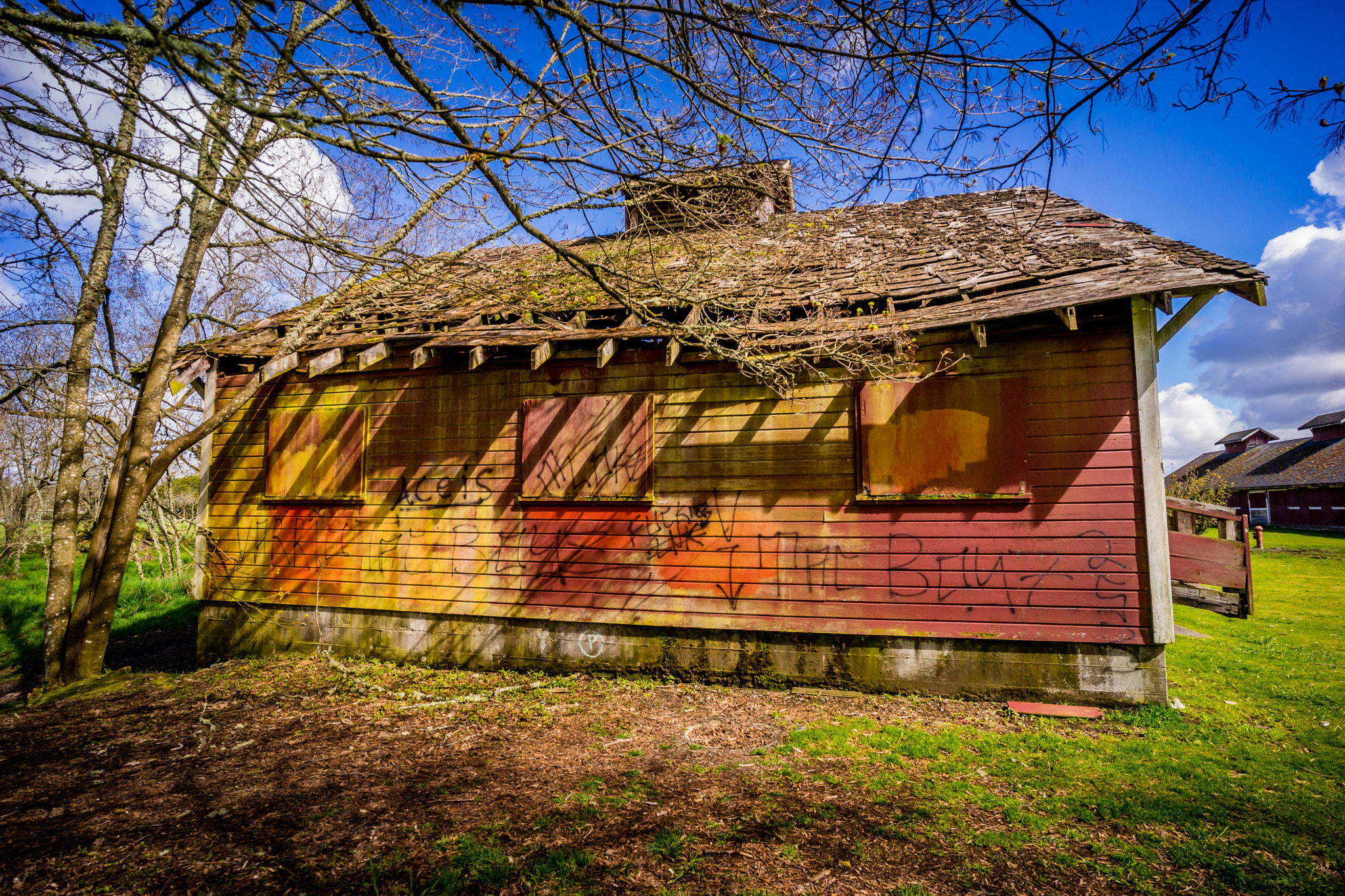 ZEISS Batis 18mm F2.8 sample photo. Steilacoom park a year later () photography