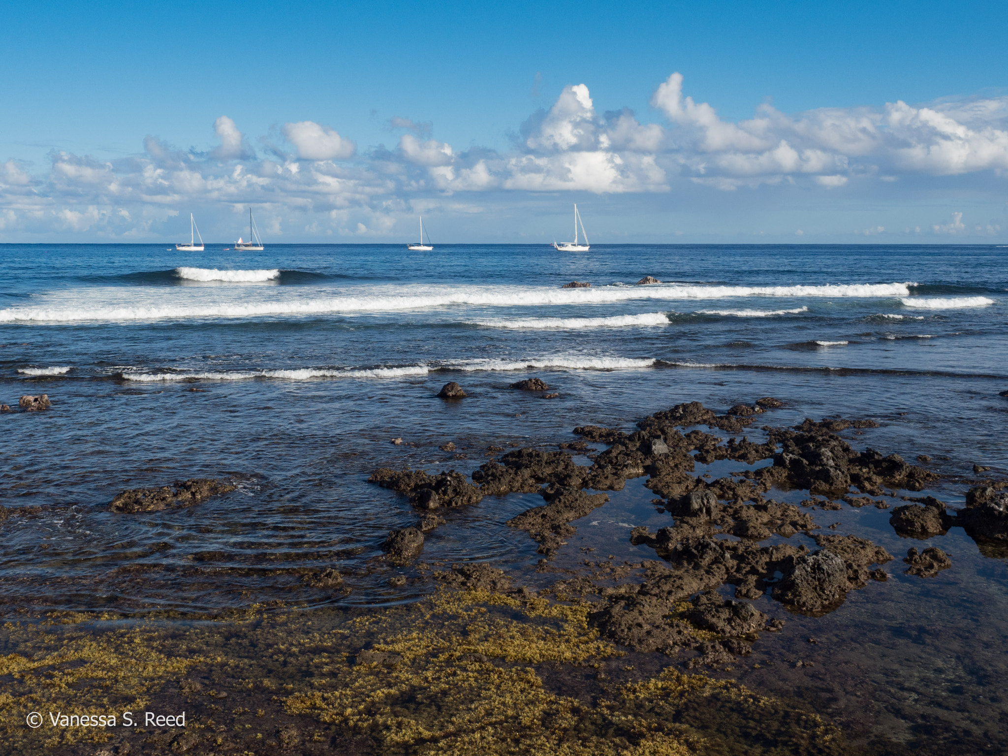 Olympus OM-D E-M1 Mark II sample photo. Easter island seaview photography