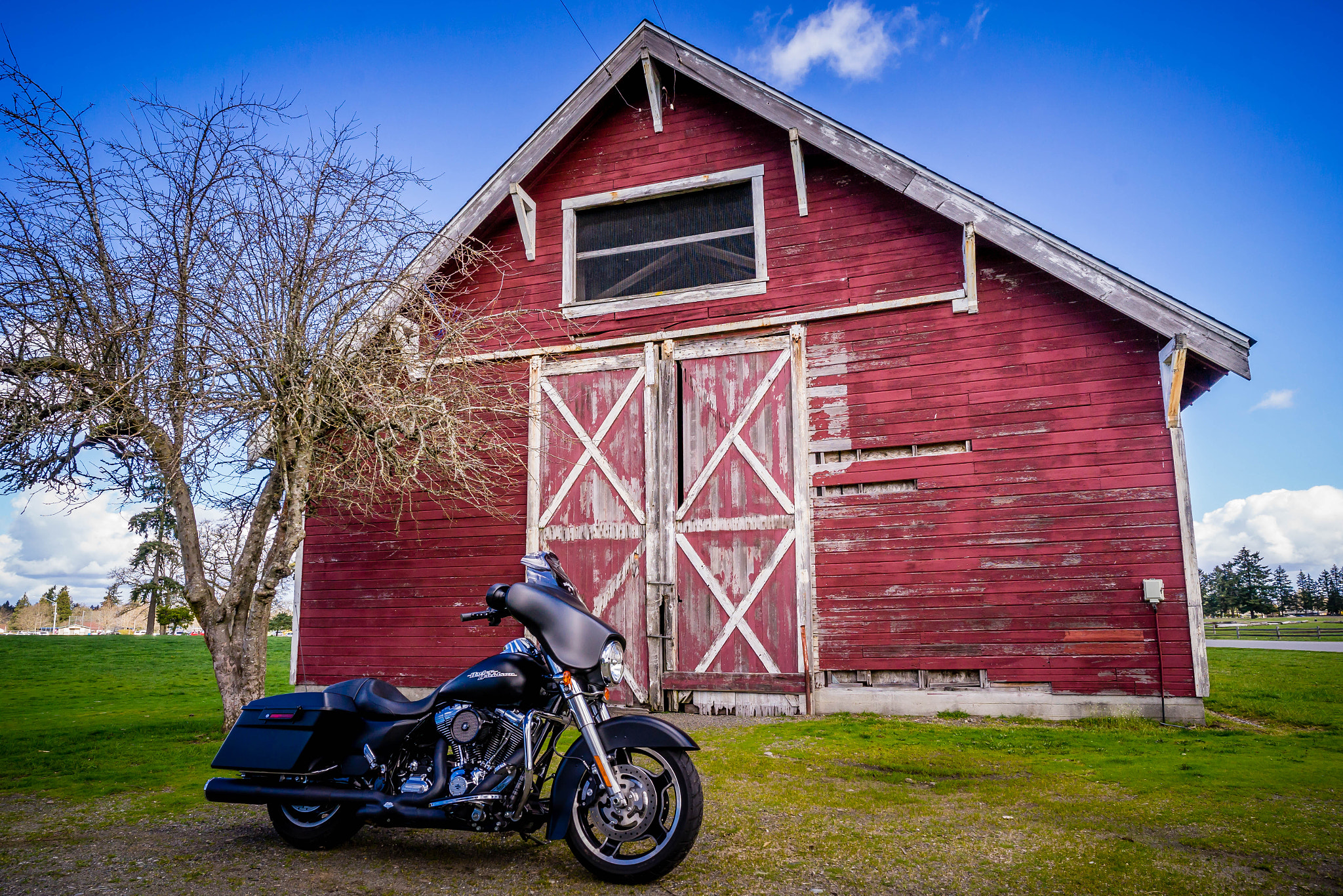 Sony a7 II + ZEISS Batis 18mm F2.8 sample photo. Steilacoom park a year later () photography