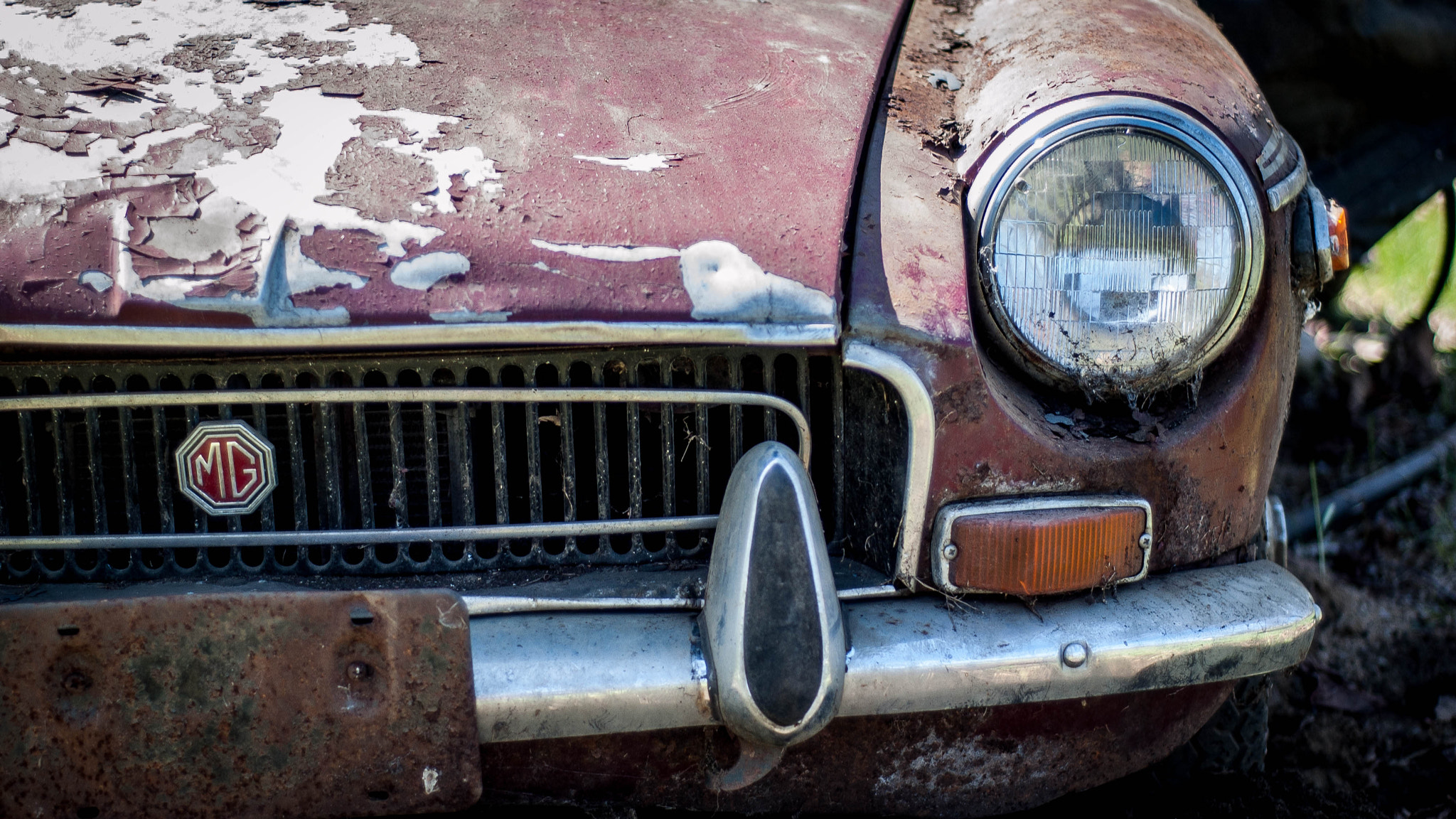Nikon D1X sample photo. Day 91 photography