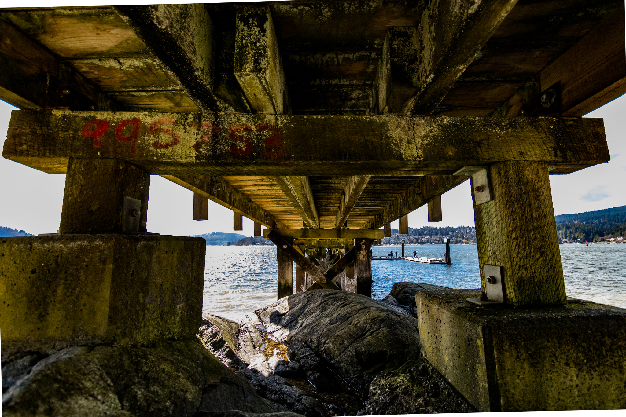 Canon EOS M5 sample photo. Under the dock photography