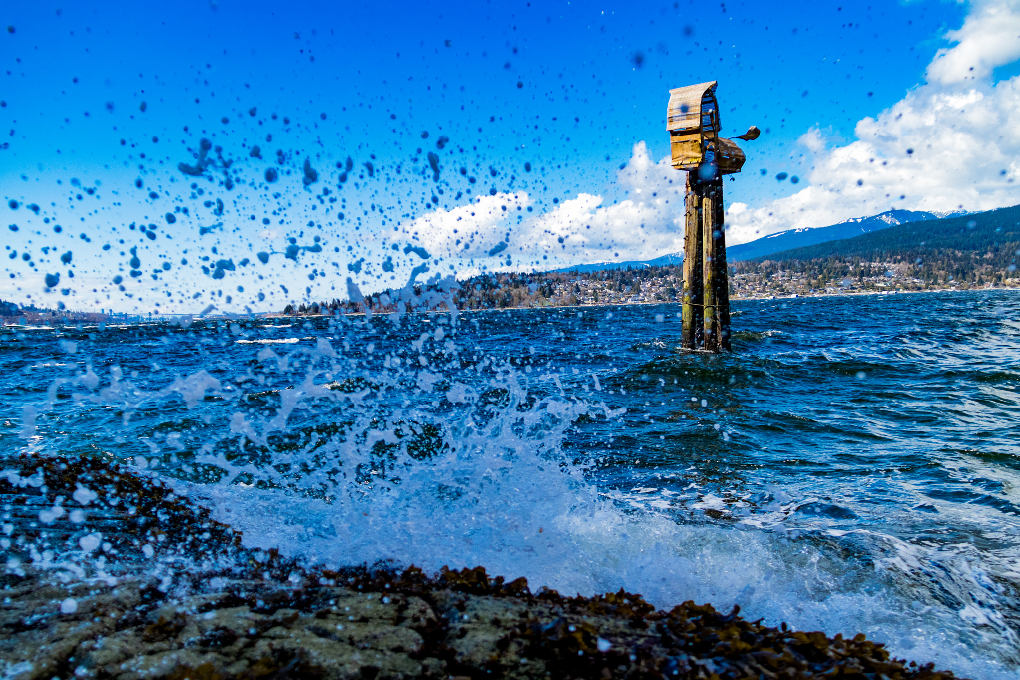 Canon EOS M5 sample photo. Wave splash photography