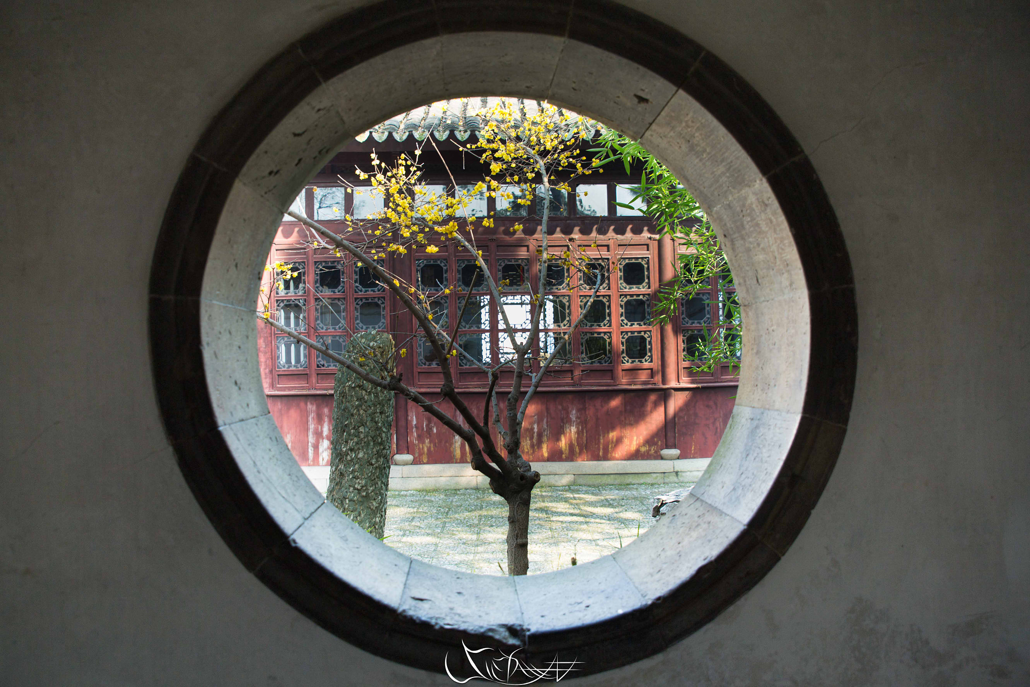 Canon EOS 6D + Sigma 24-70mm F2.8 EX DG Macro sample photo. Img photography