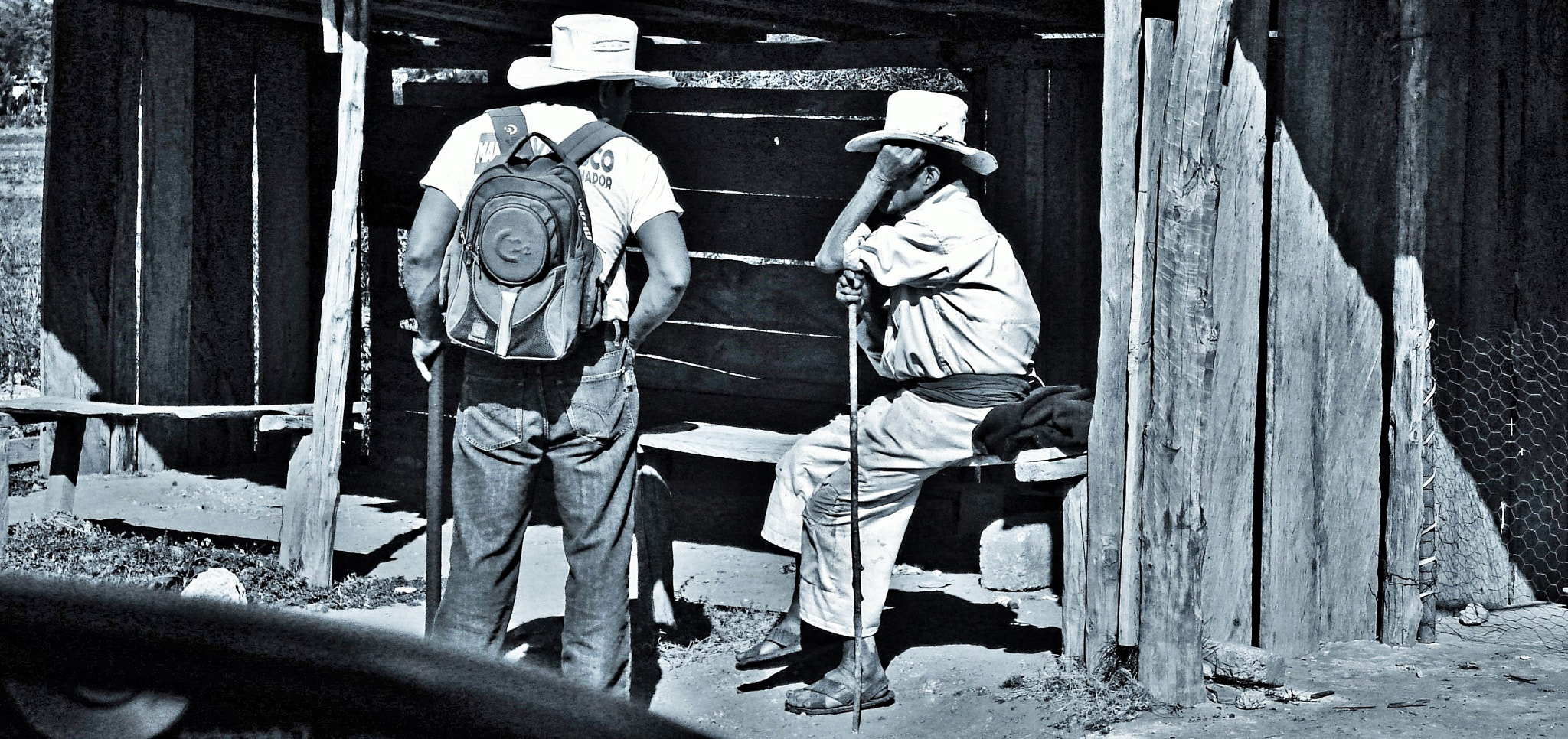 Sony DSC-W70 sample photo. Farmers conversation photography