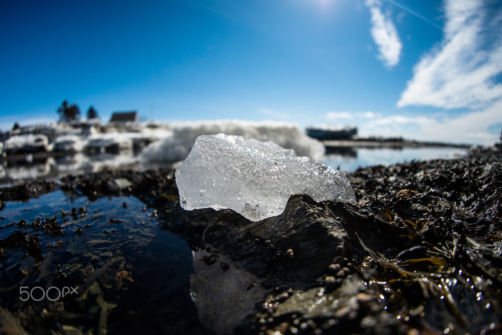 Samyang 12mm F2.8 ED AS NCS Fisheye sample photo. Water reflection photography