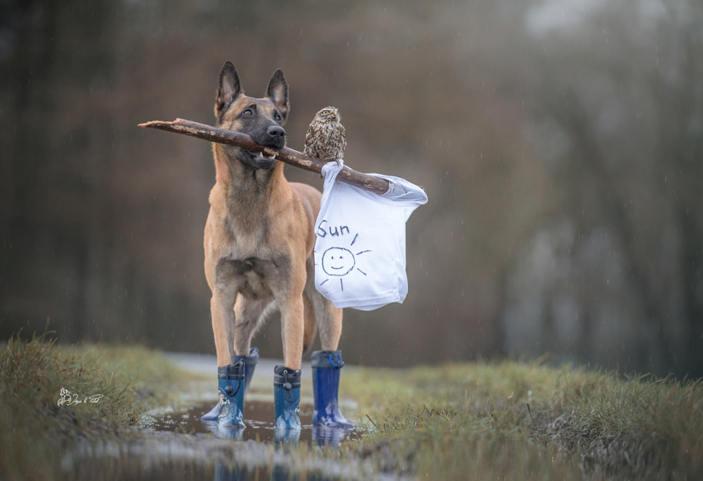 April by Tanja Brandt on 500px.com