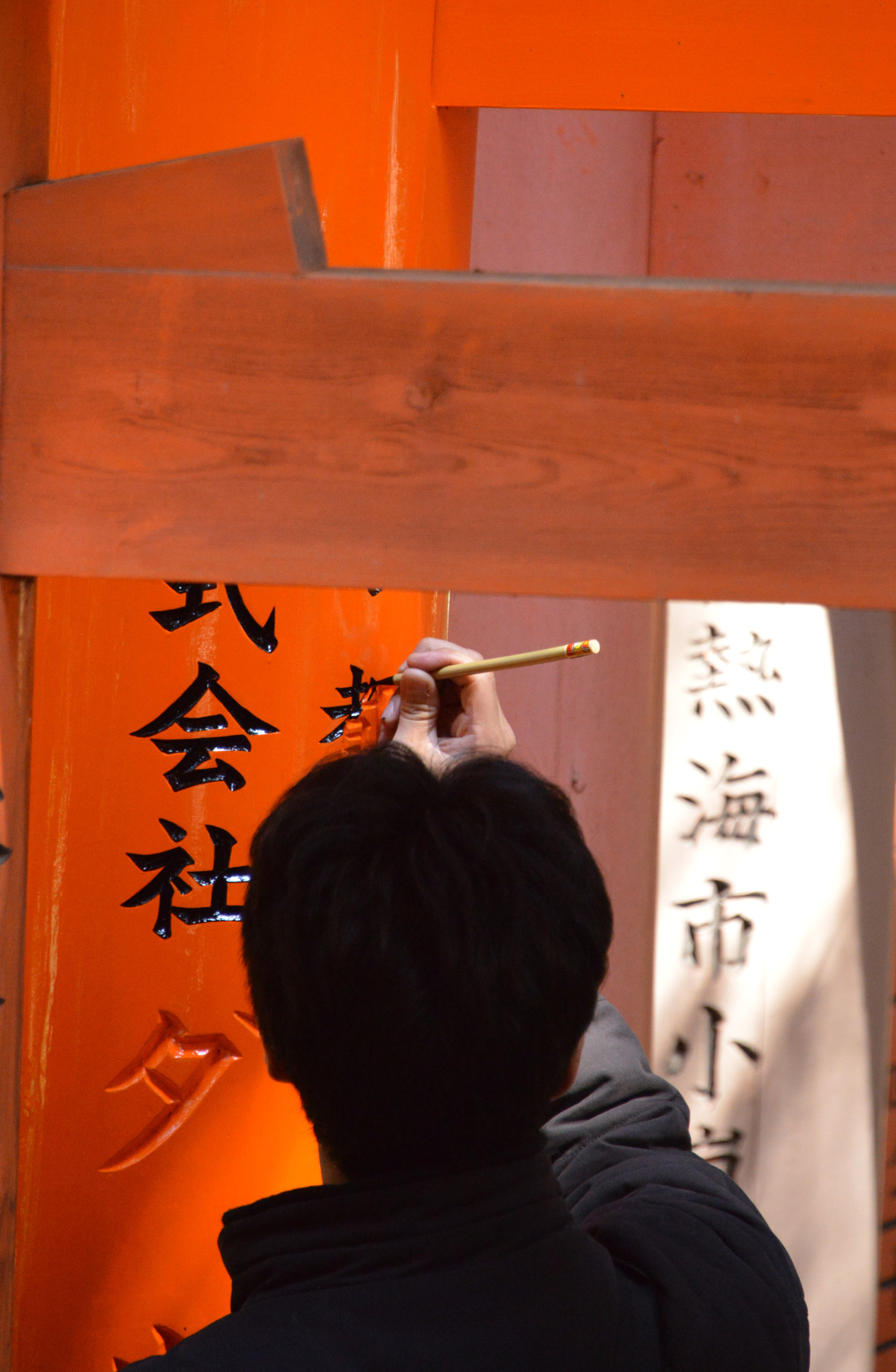 Nikon D800 sample photo. Renewal photography