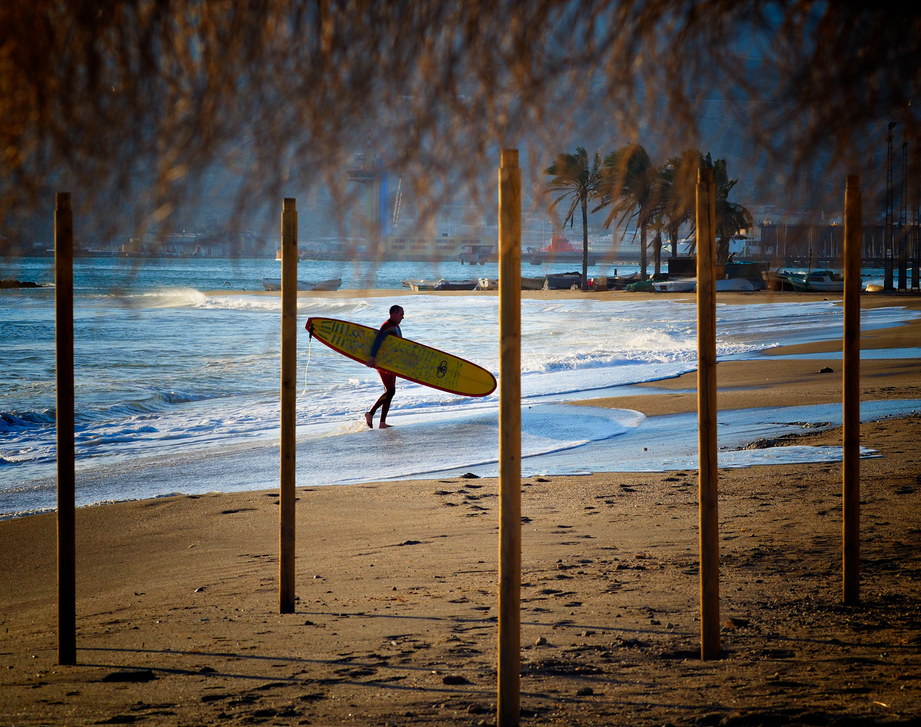Olympus OM-D E-M5 II sample photo. El surfista photography