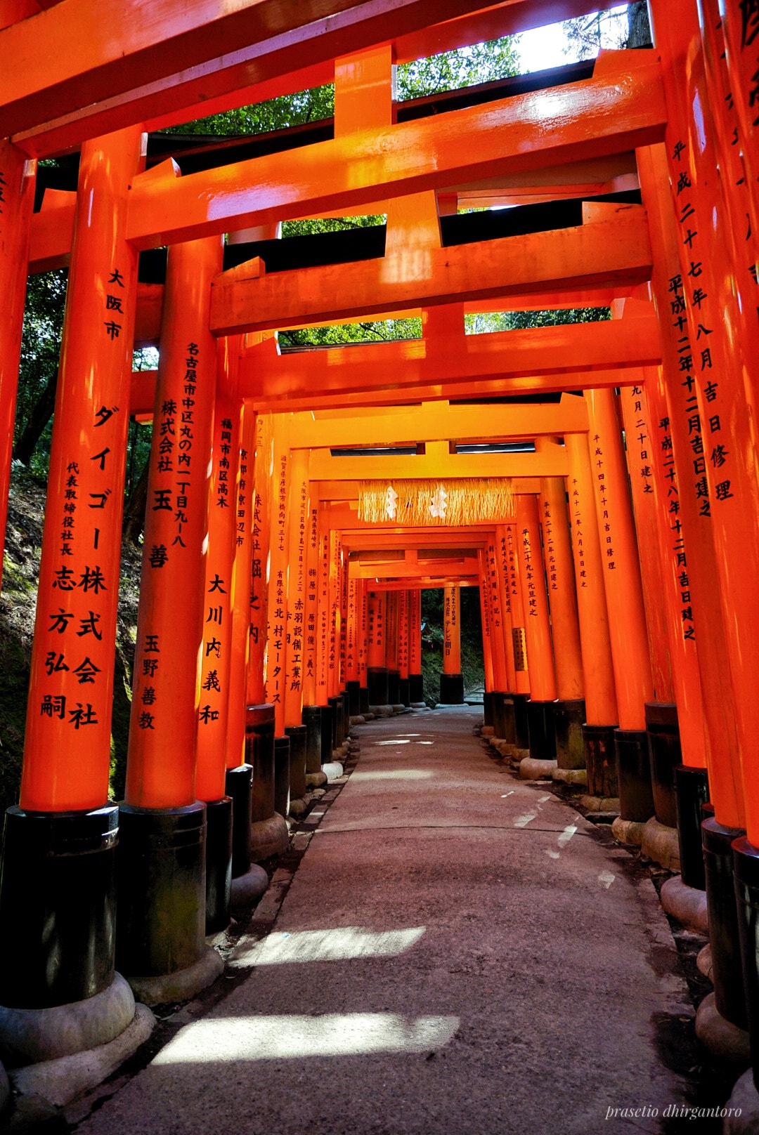 Sony a5100 sample photo. Thousands of torii gates photography