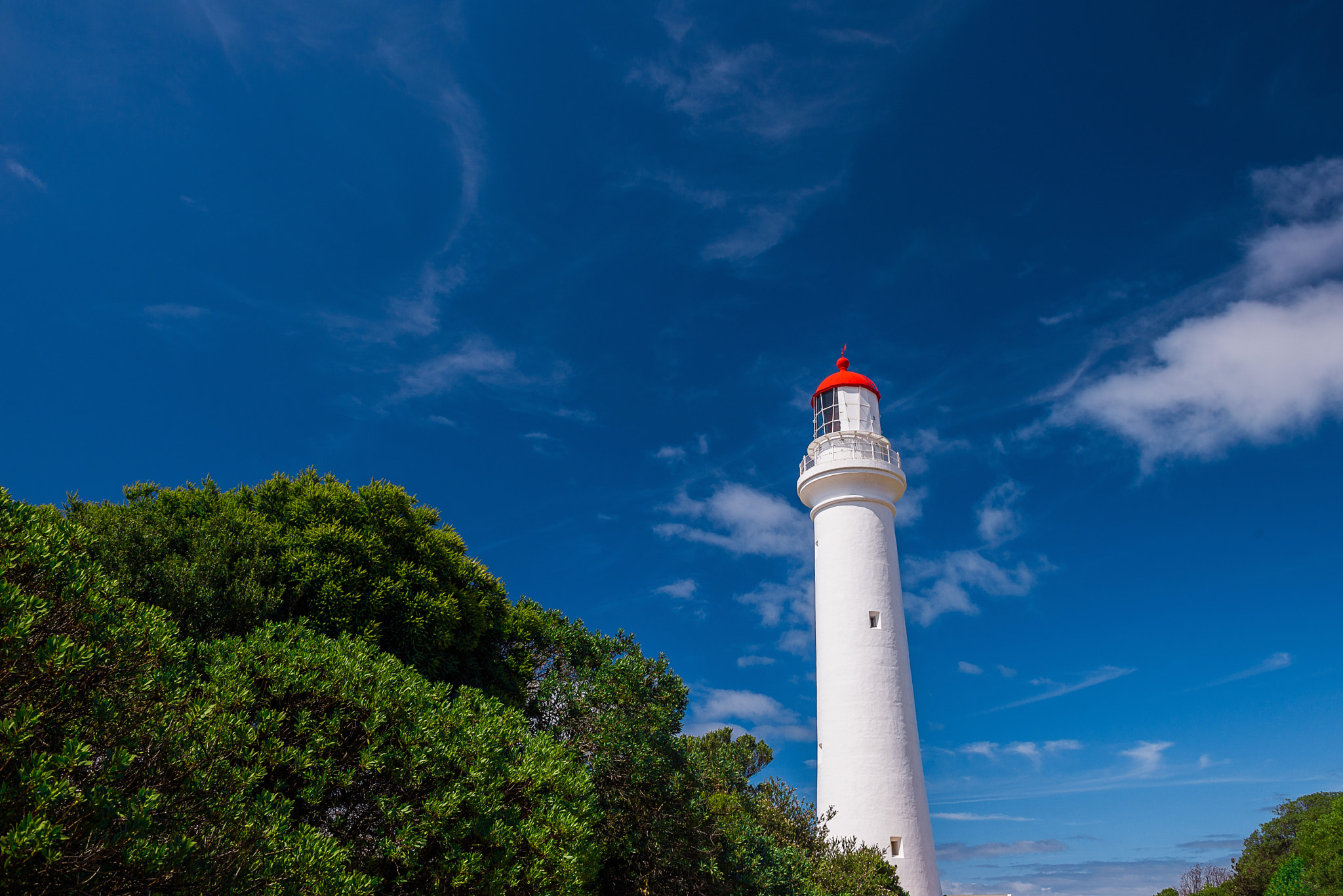 Nikon AF-S Nikkor 24-70mm F2.8G ED sample photo. Red hat photography