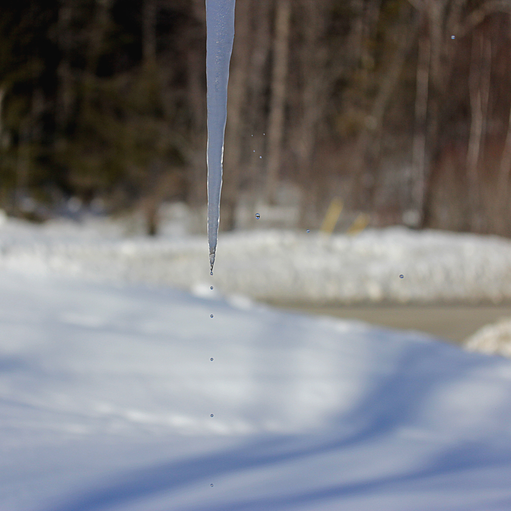 Canon EF-S 60mm F2.8 Macro USM sample photo. Drip drop photography