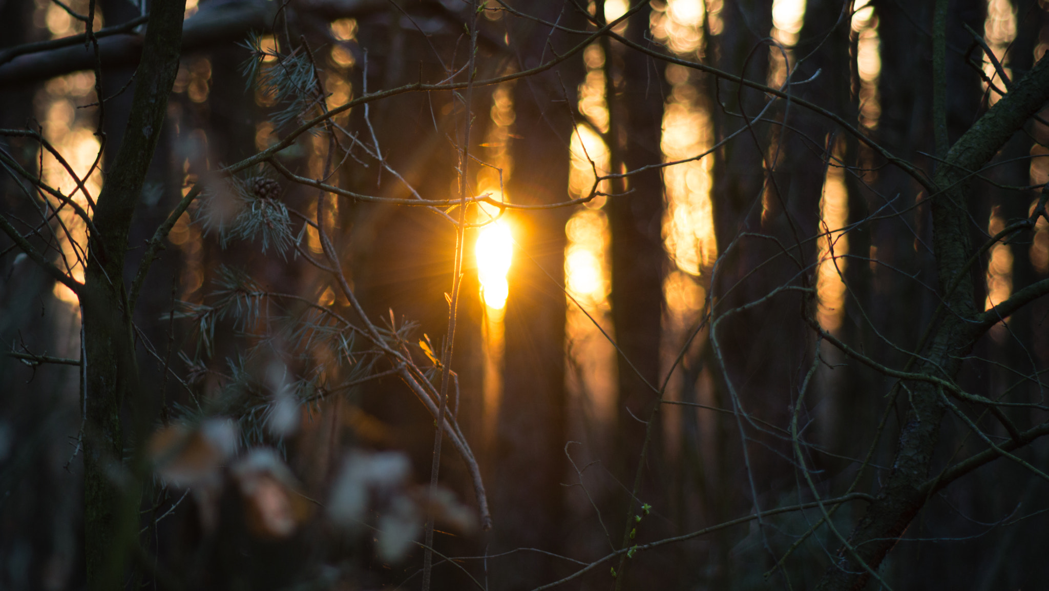 Minolta AF 100-300mm F4.5-5.6 sample photo. Bokeh of light photography