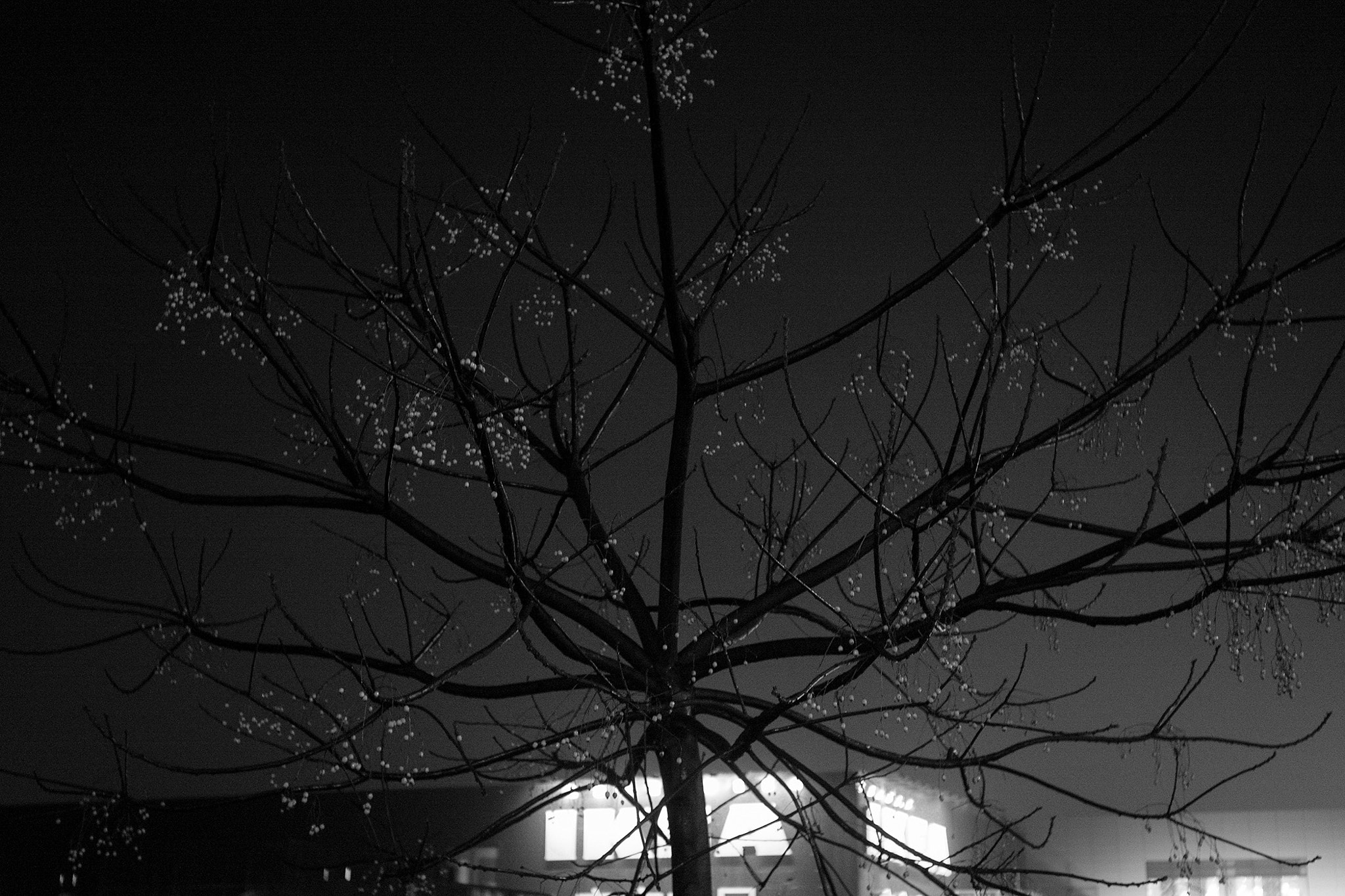 Elmar-M 1:2.8/50 sample photo. Need a spiritual pillar. photography