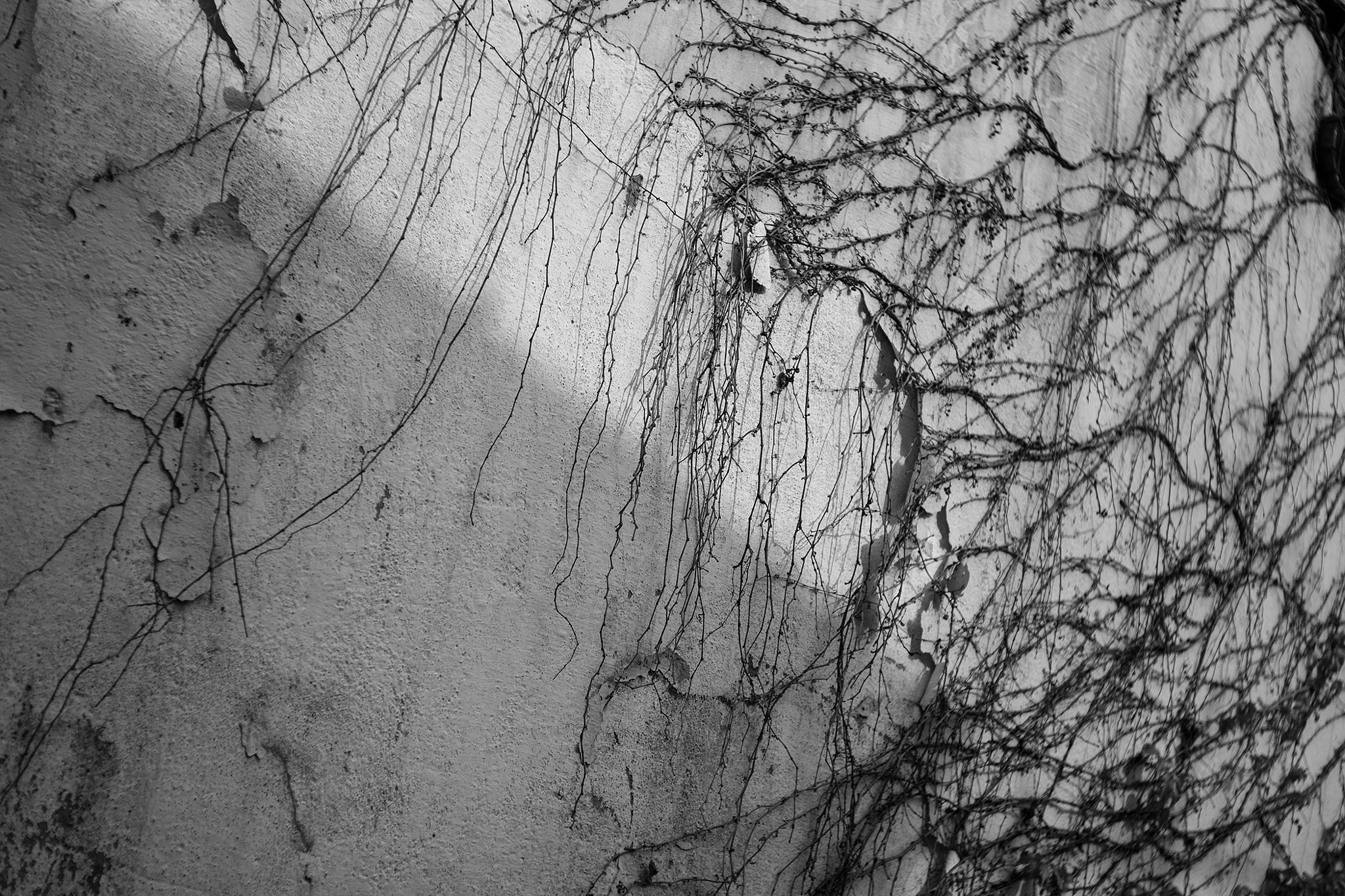 Elmar-M 1:2.8/50 sample photo. Need a spiritual pillar. photography