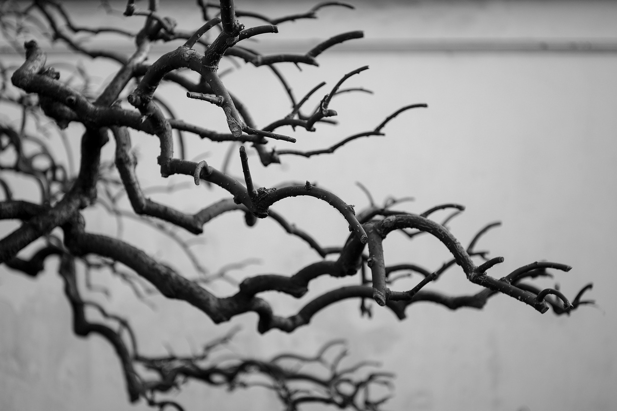 Elmar-M 1:2.8/50 sample photo. Need a spiritual pillar. photography